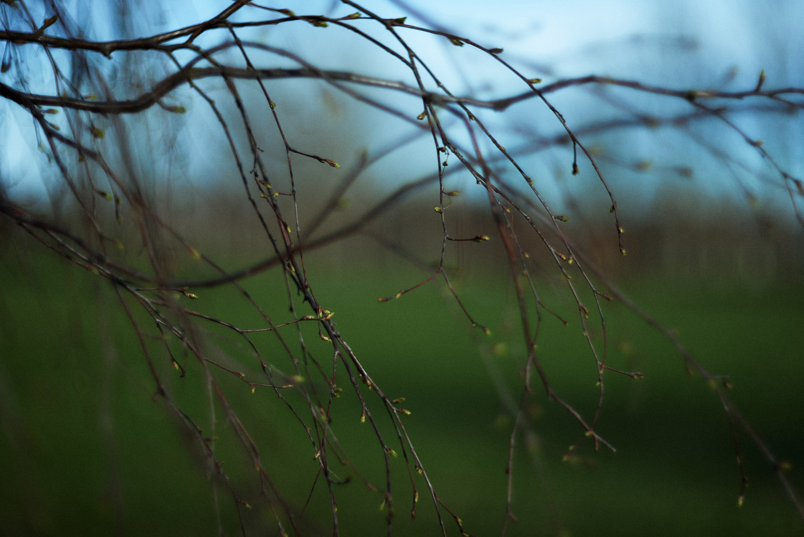 L19. Свадебный фотограф Санкт-Петербург DanyaPhotoart