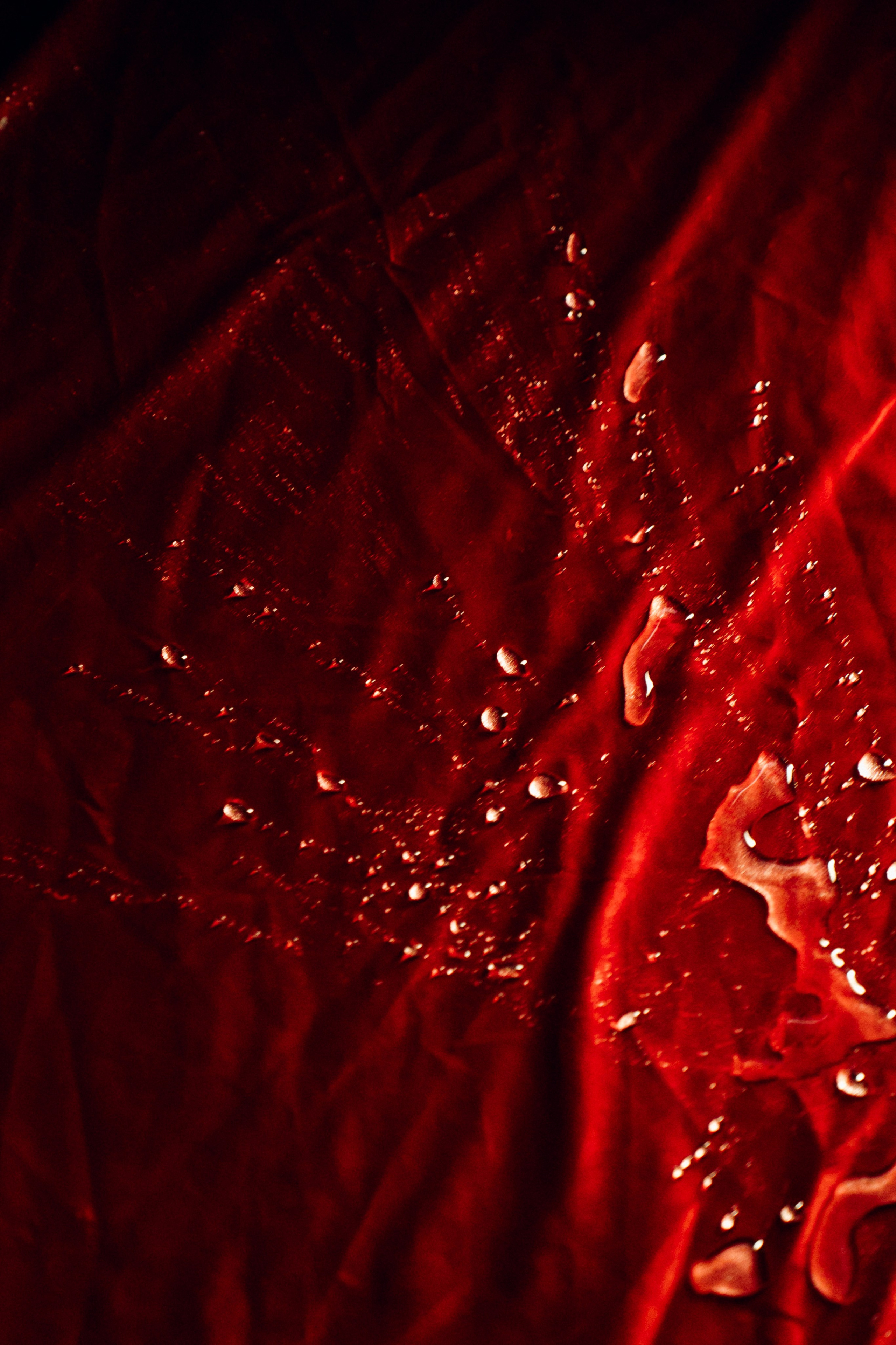 Съемки клипа Риты Ричи. Свадебный фотограф в Краснодаре и Сочи Винидиктова Екатерина