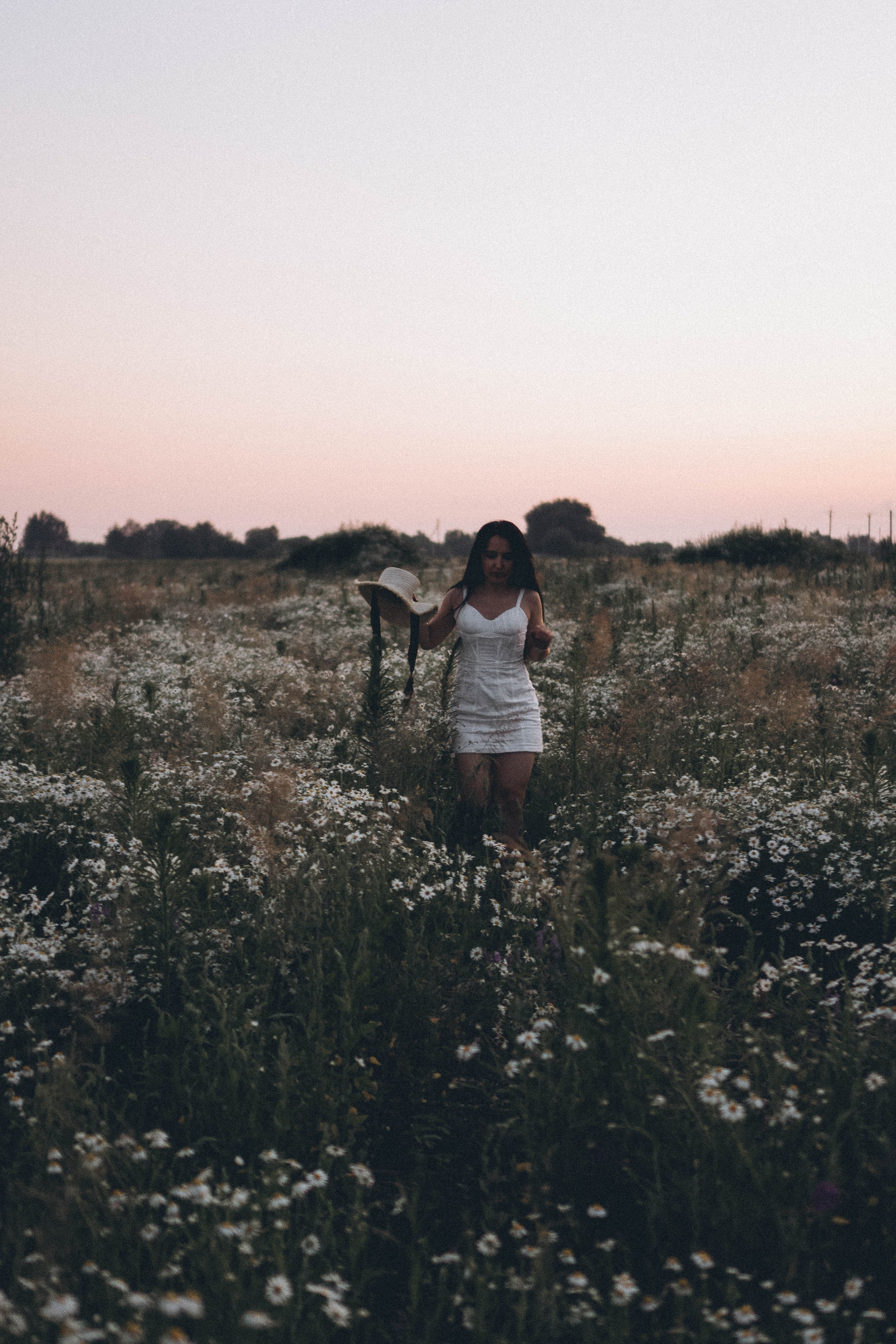 Ромашковое поле. Профессиональный фотограф, Санкт-Петербург — Виктория Богомолова