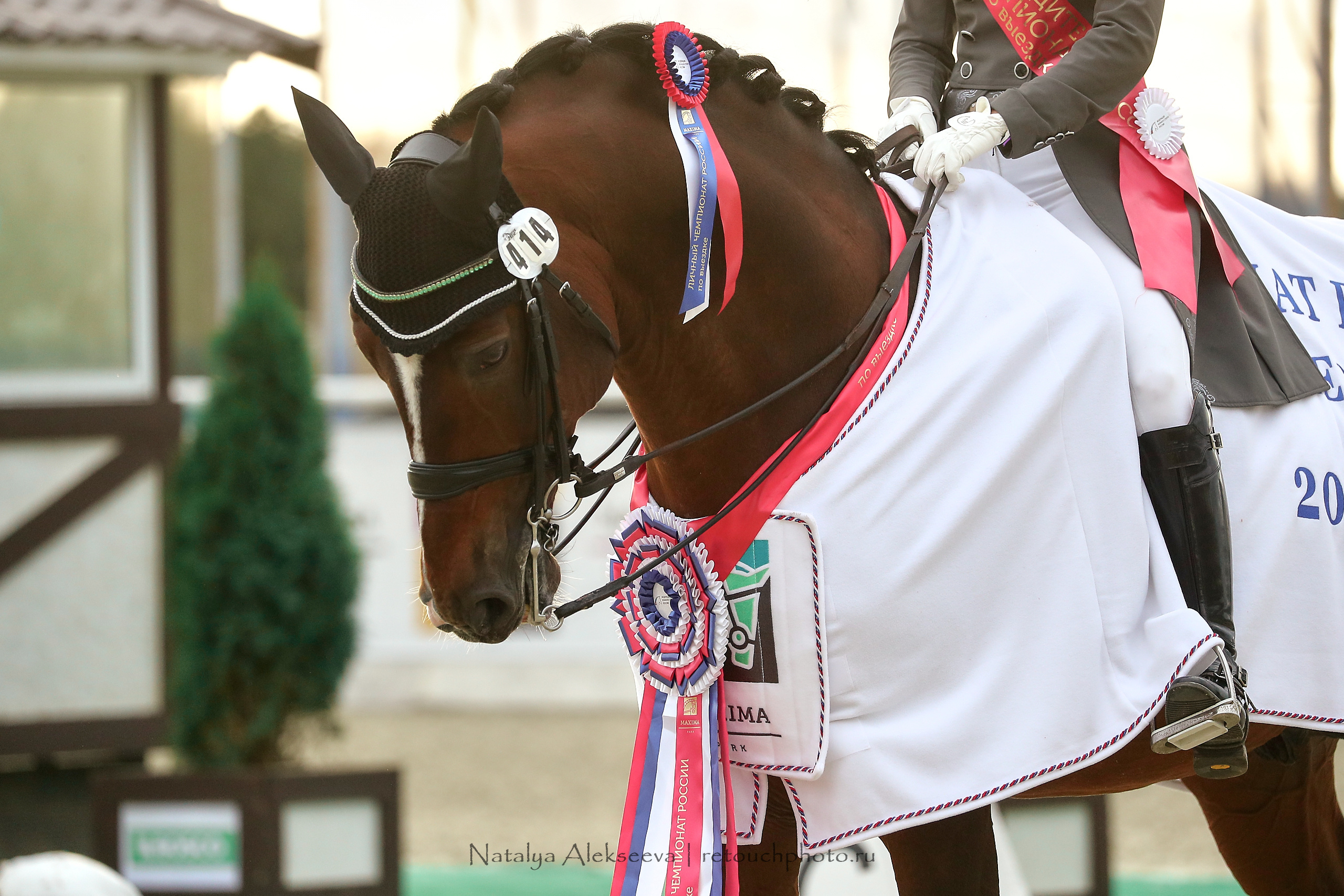 Чемпионат России по выездке, Maxima Stables | 09'2020