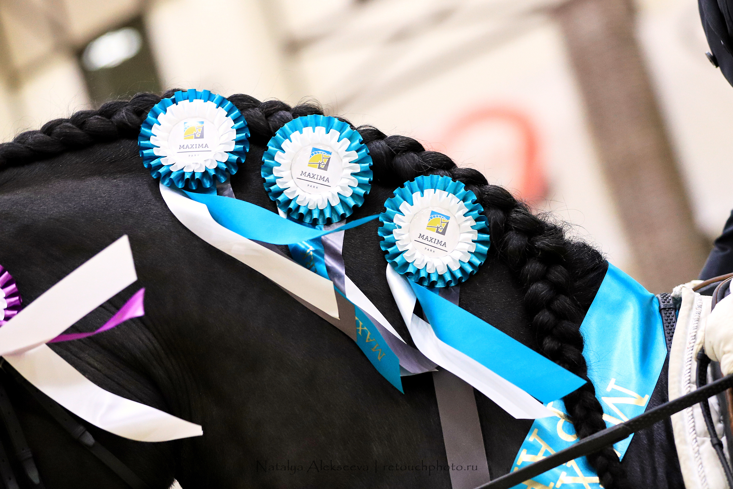 CDI-3*/2*/Y/J/CH, Maxima Stables | 11'2019