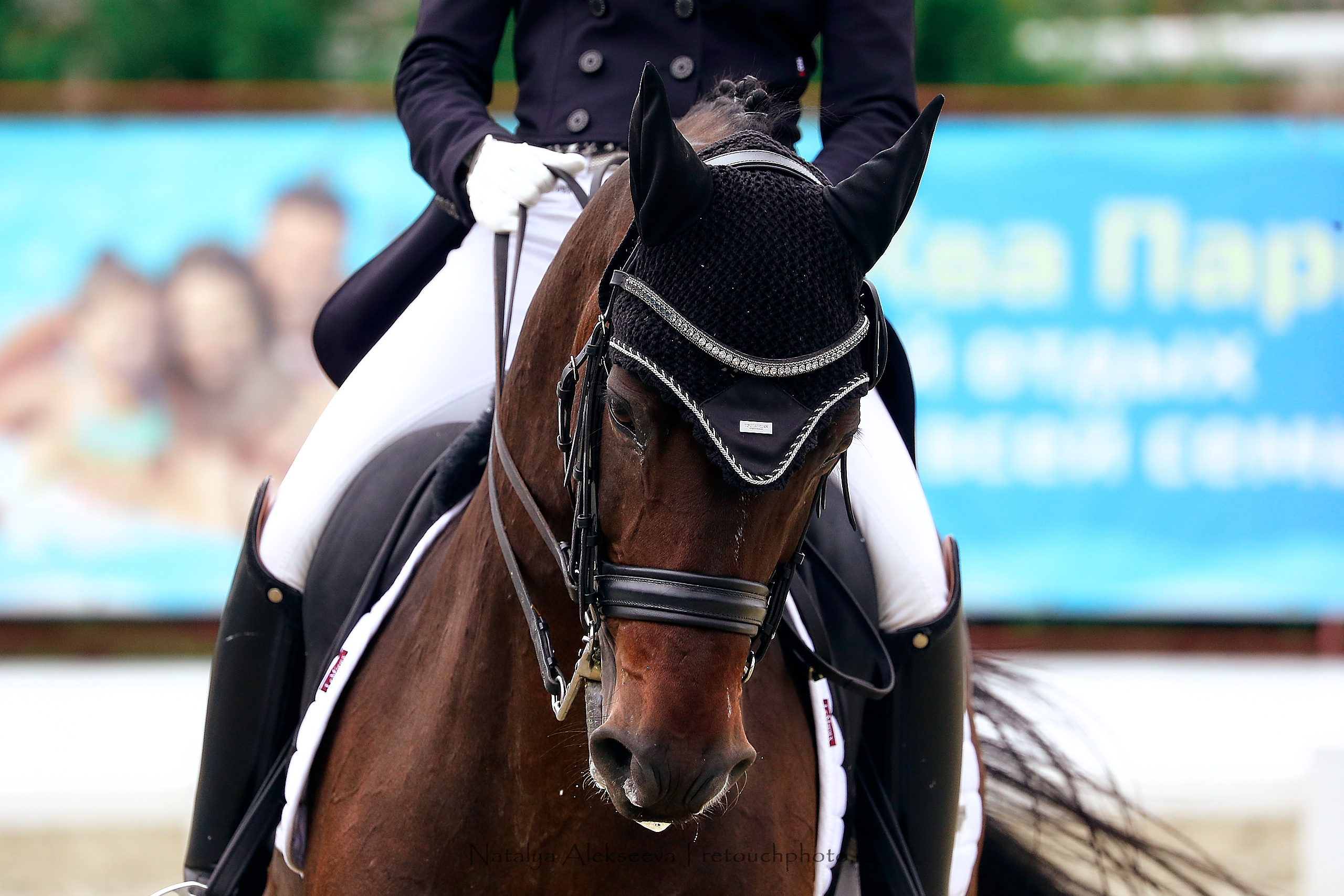 Первенство России по выездке, Maxima Stables | 09'2020