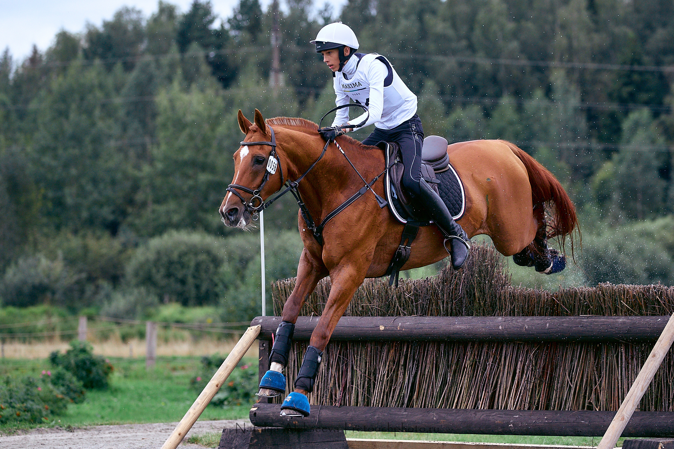 Кросс Чемпионата МО по троеборью, Maxima Stables | 08'2020