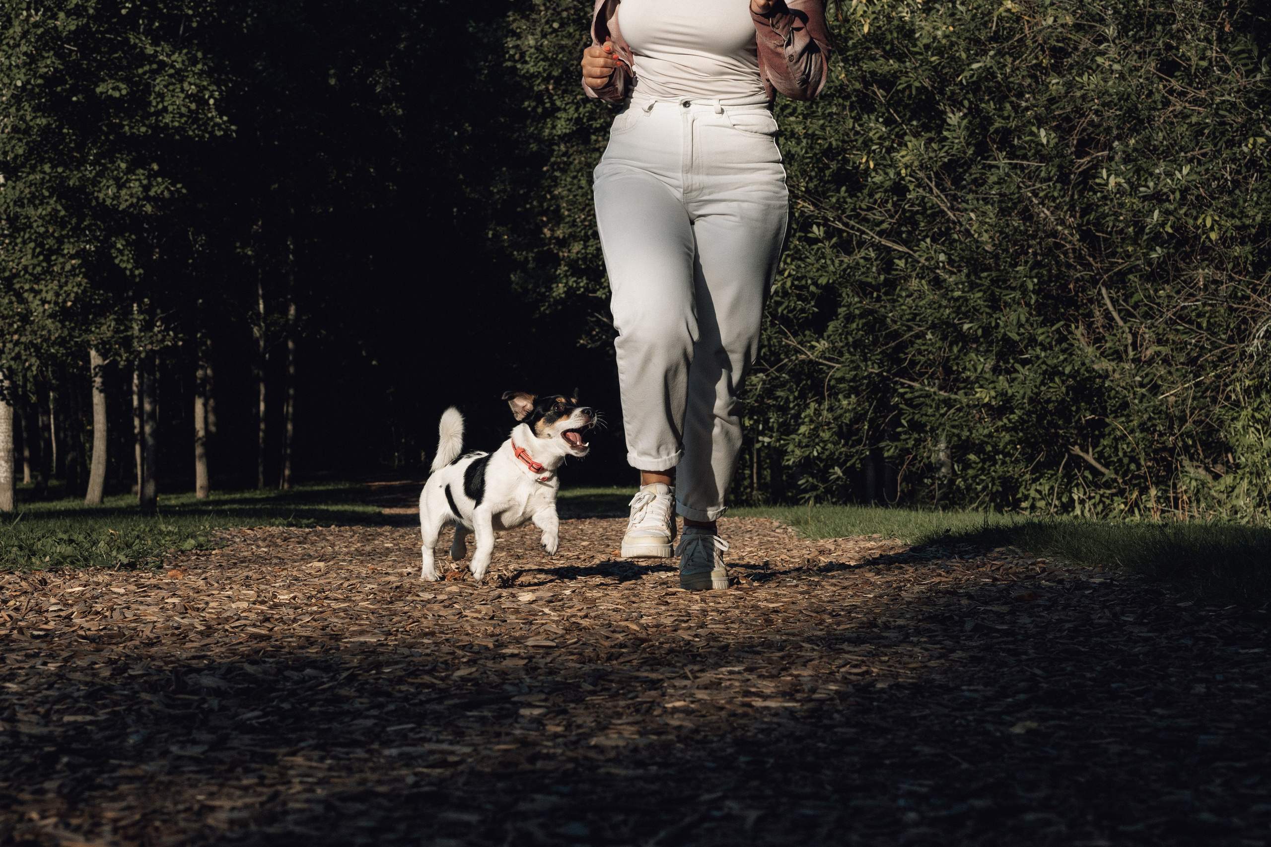 Аня и Луна. Фотограф и видеограф в Тюмени Екатерина Чернецкая