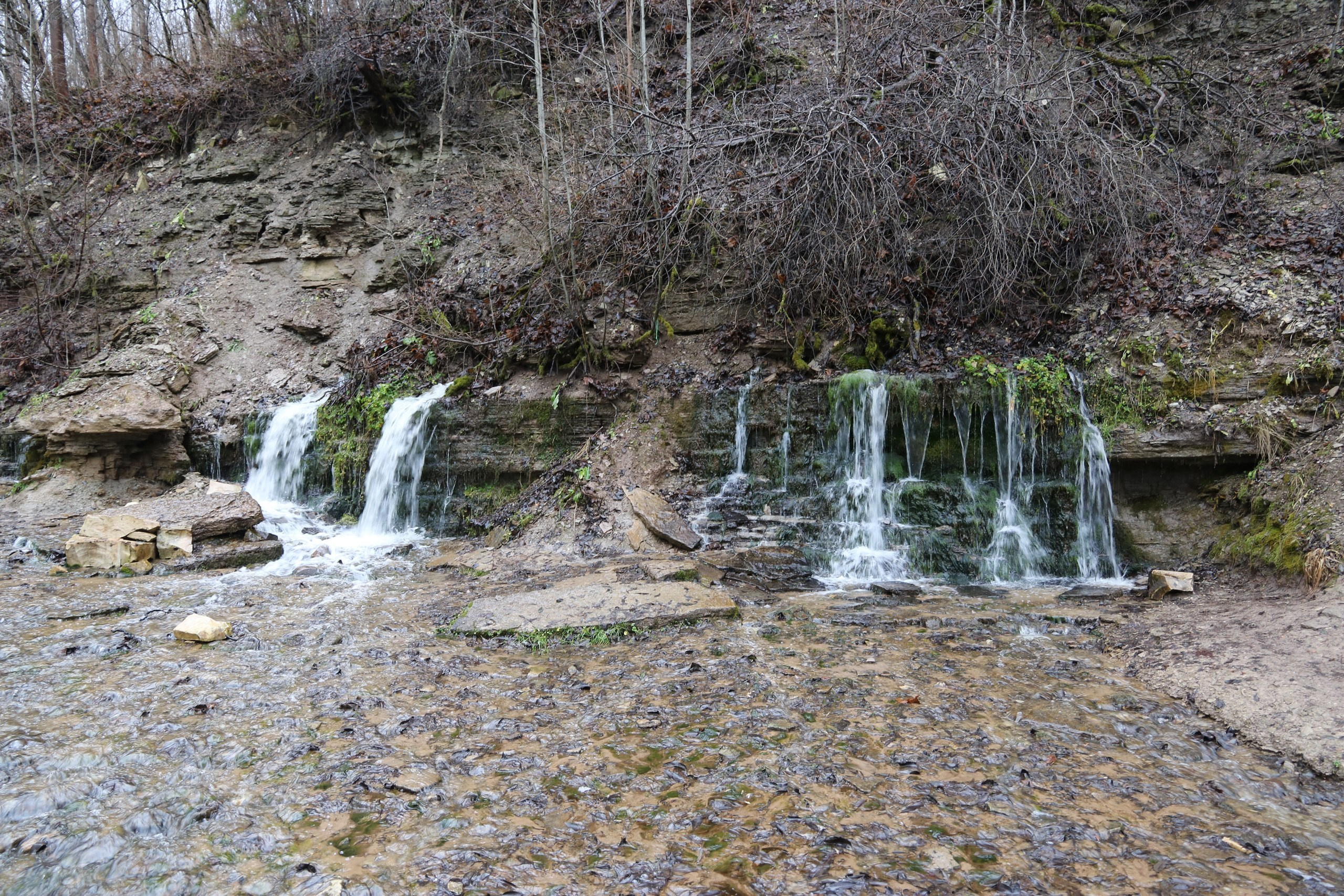 Псков | 18-20.11.2016. Галерея Фантим