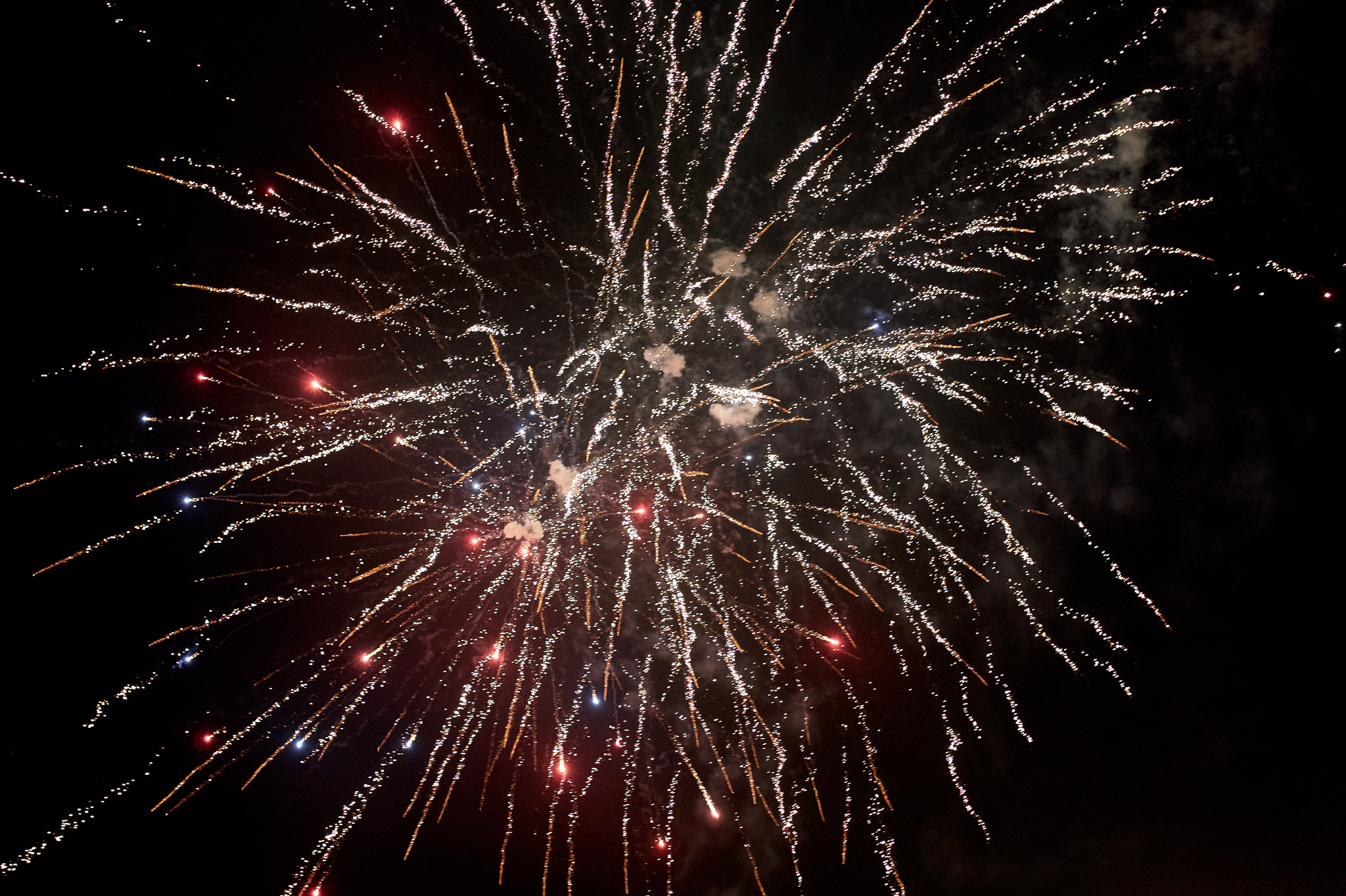 D&A september 2020. Свадебный фотограф СПБ Михаил Песиков