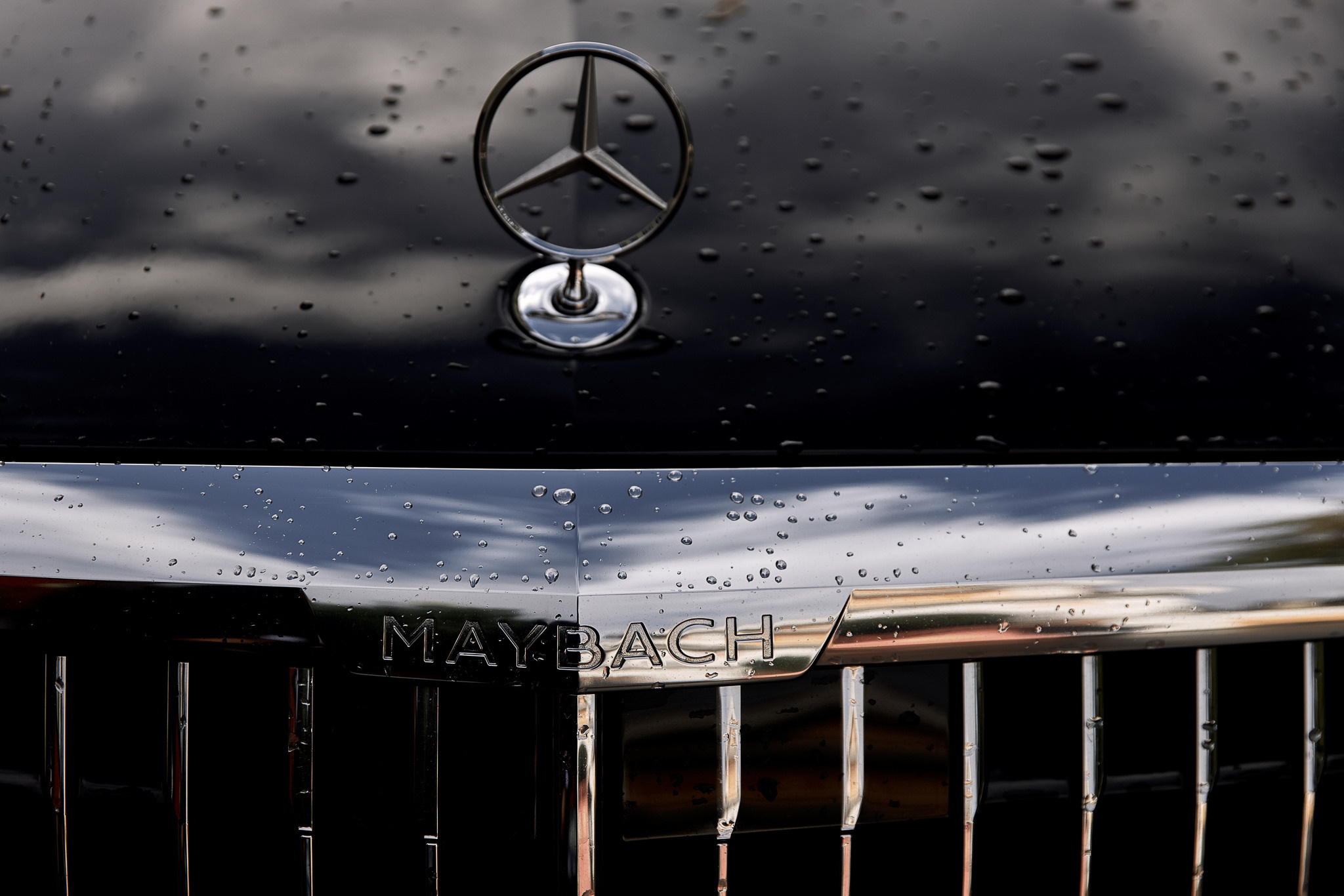 D&A september 2020. Свадебный фотограф СПБ Михаил Песиков