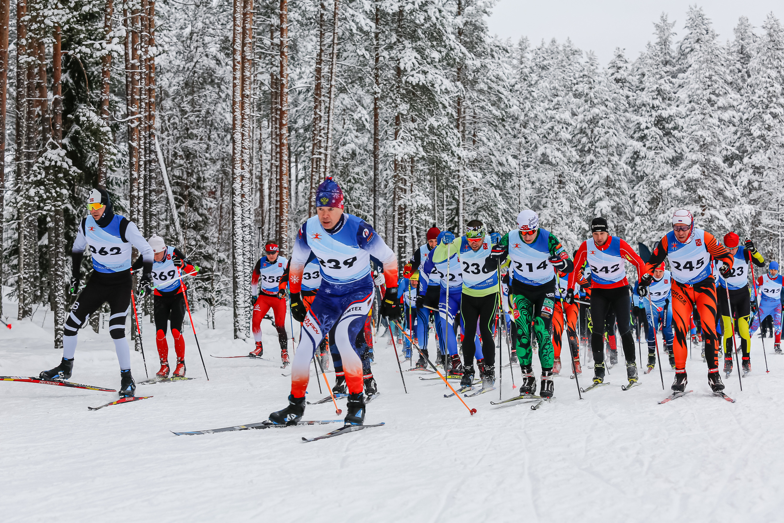 Спортивный фотограф в Санкт-Петербурге Сергей Гусев. Сергей Гусев — спортивная фотография, виртуальные туры, 3д панорамы