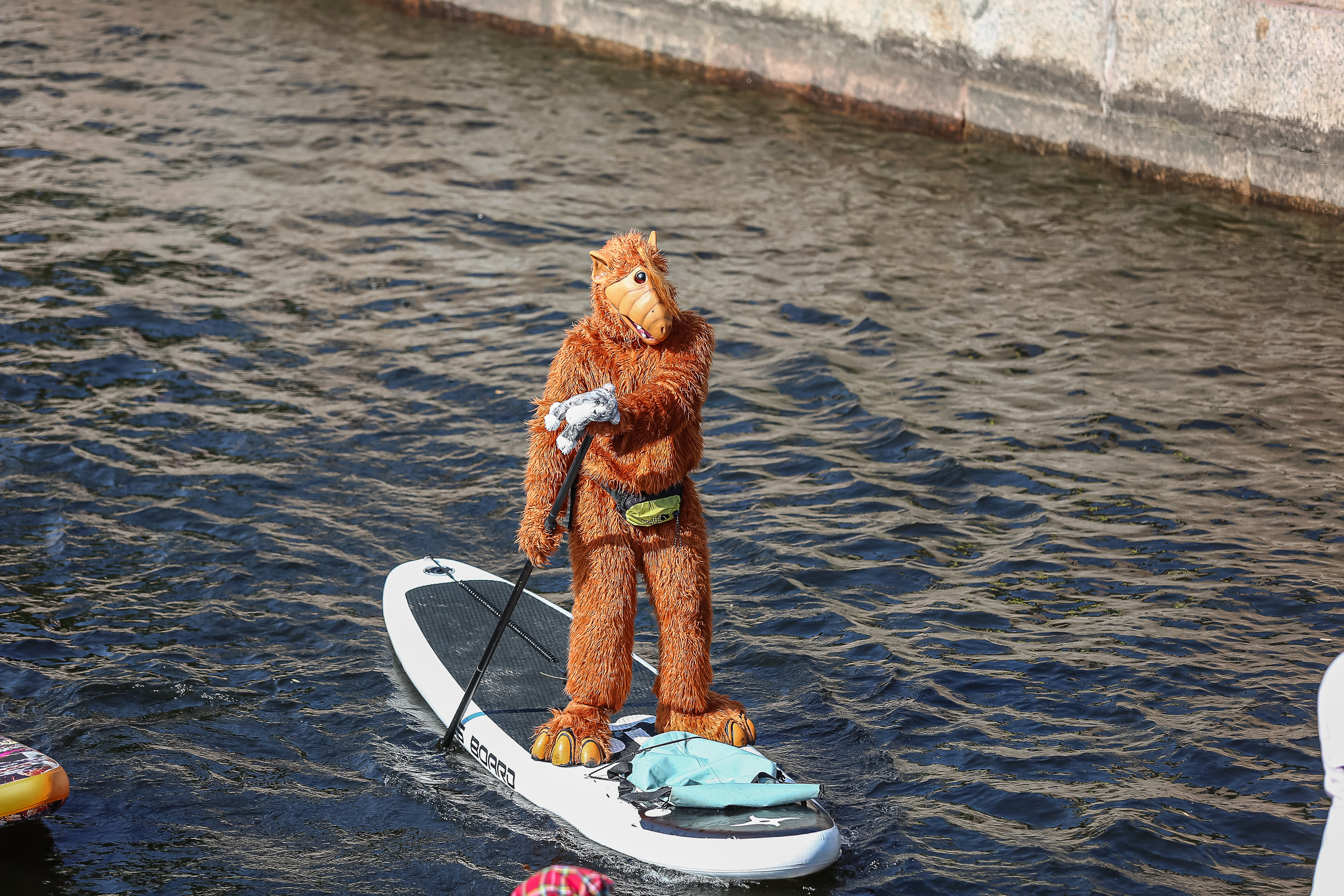 Спортивный репортажный фотограф в Санкт-Петербурге Сергей Гусев. Сергей Гусев — спортивная фотография, виртуальные туры, 3д панорамы