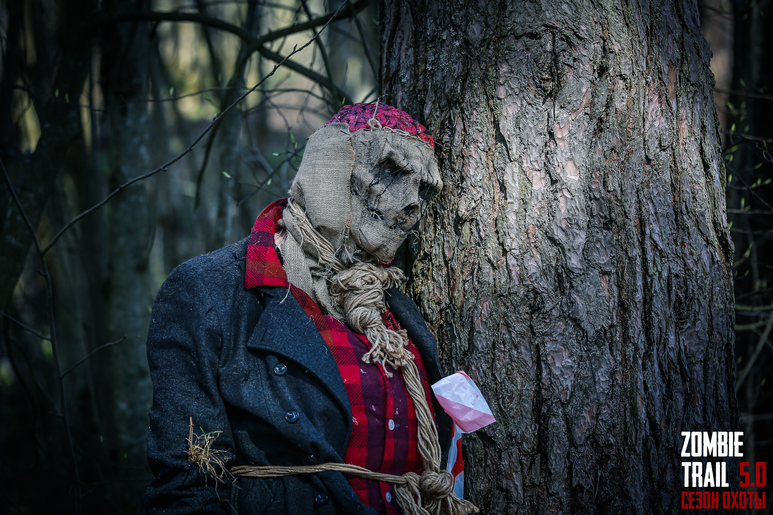 Спортивный репортажный фотограф в Санкт-Петербурге Сергей Гусев. Сергей Гусев — спортивная фотография, виртуальные туры, 3д панорамы