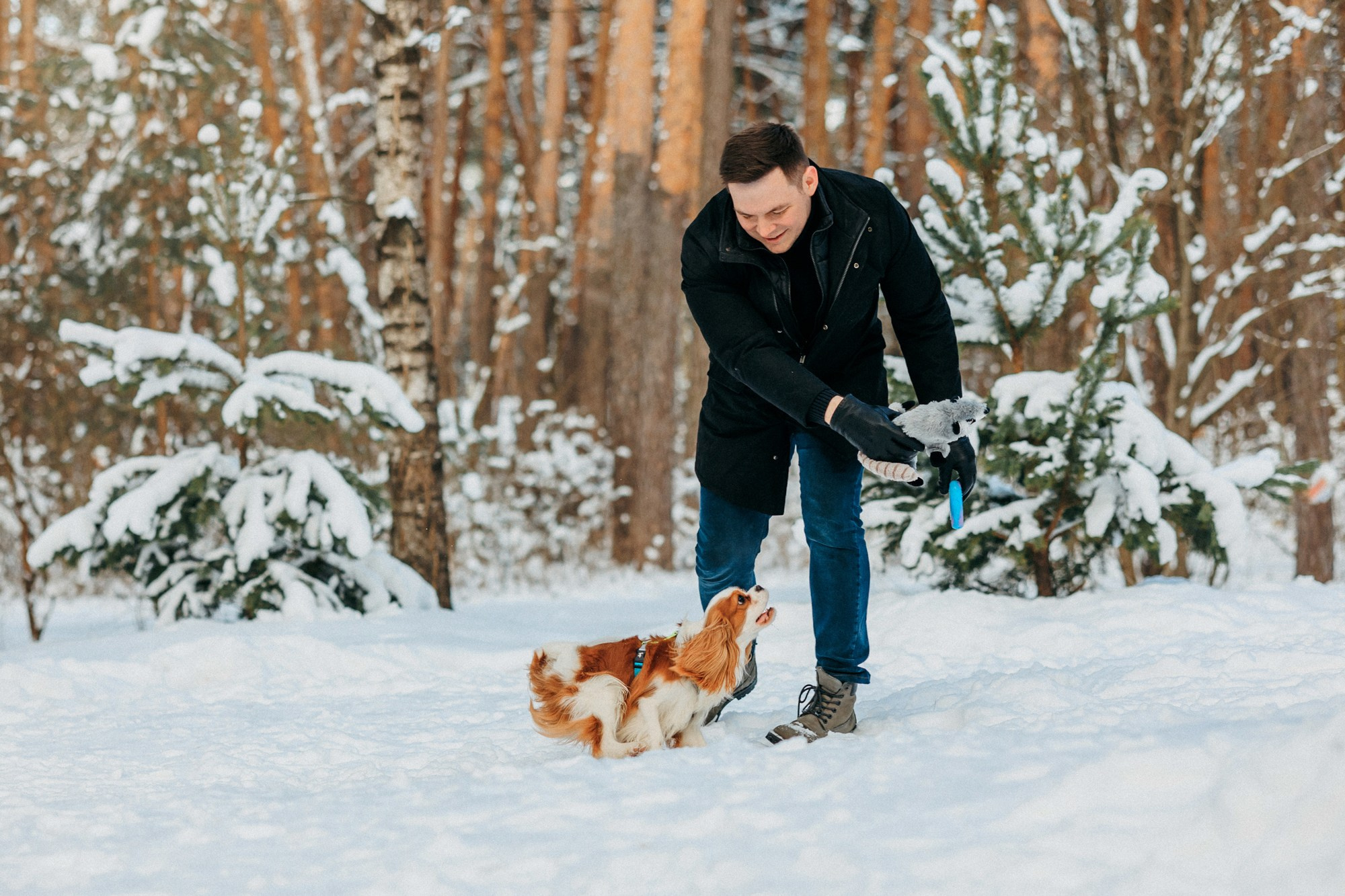 Юля, Илья и Майкл. Фотограф-анималист Елена Радченко, Москва