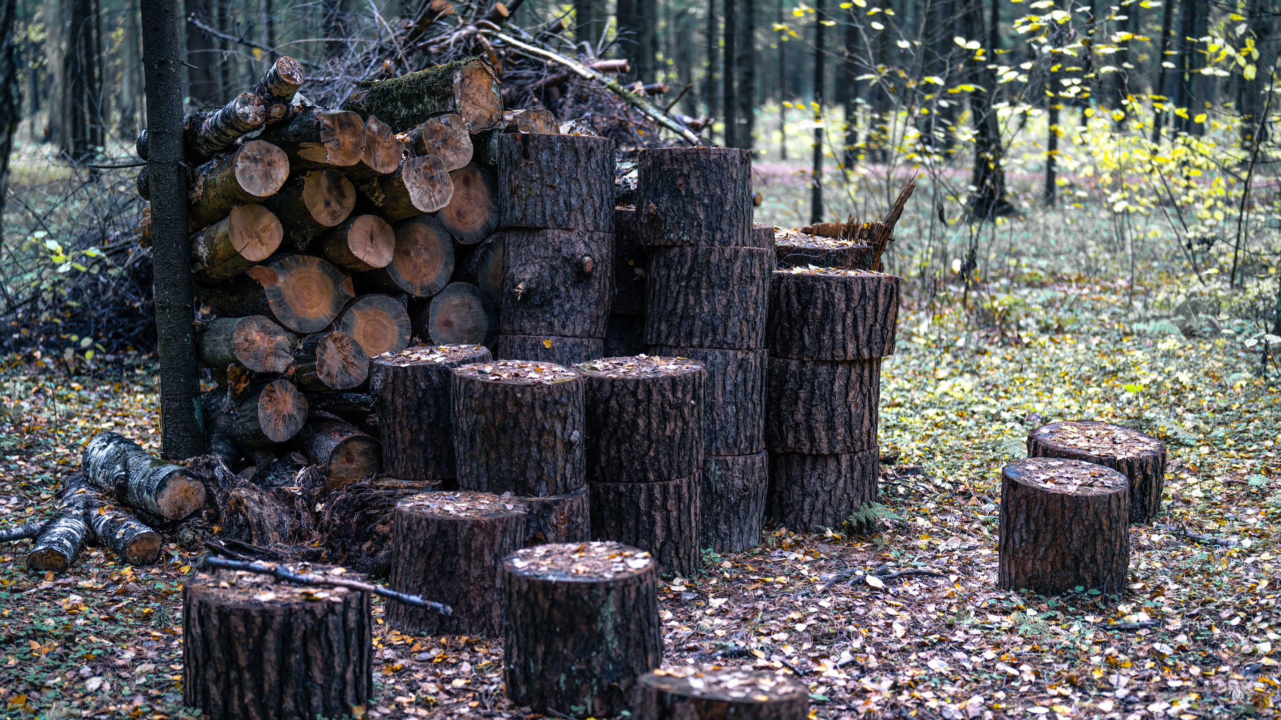 ПЕРЕДЕЛКИНО. ПОБУДЬ ЗДЕСЬ И ЦЕЛЕЕ БУДЕТ ЭТОТ МИР