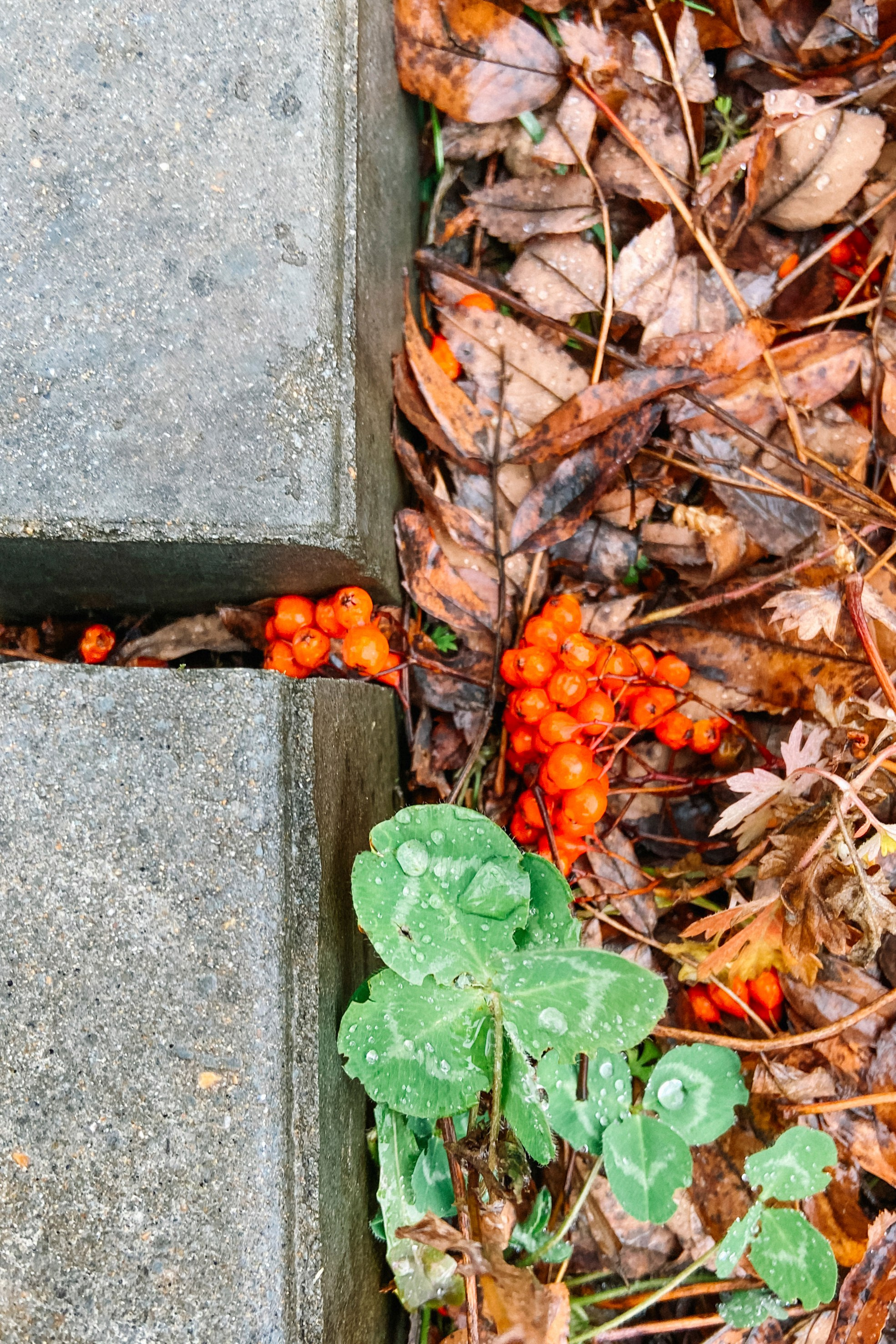 Природа. Команда фотографов Кристины Ивановой