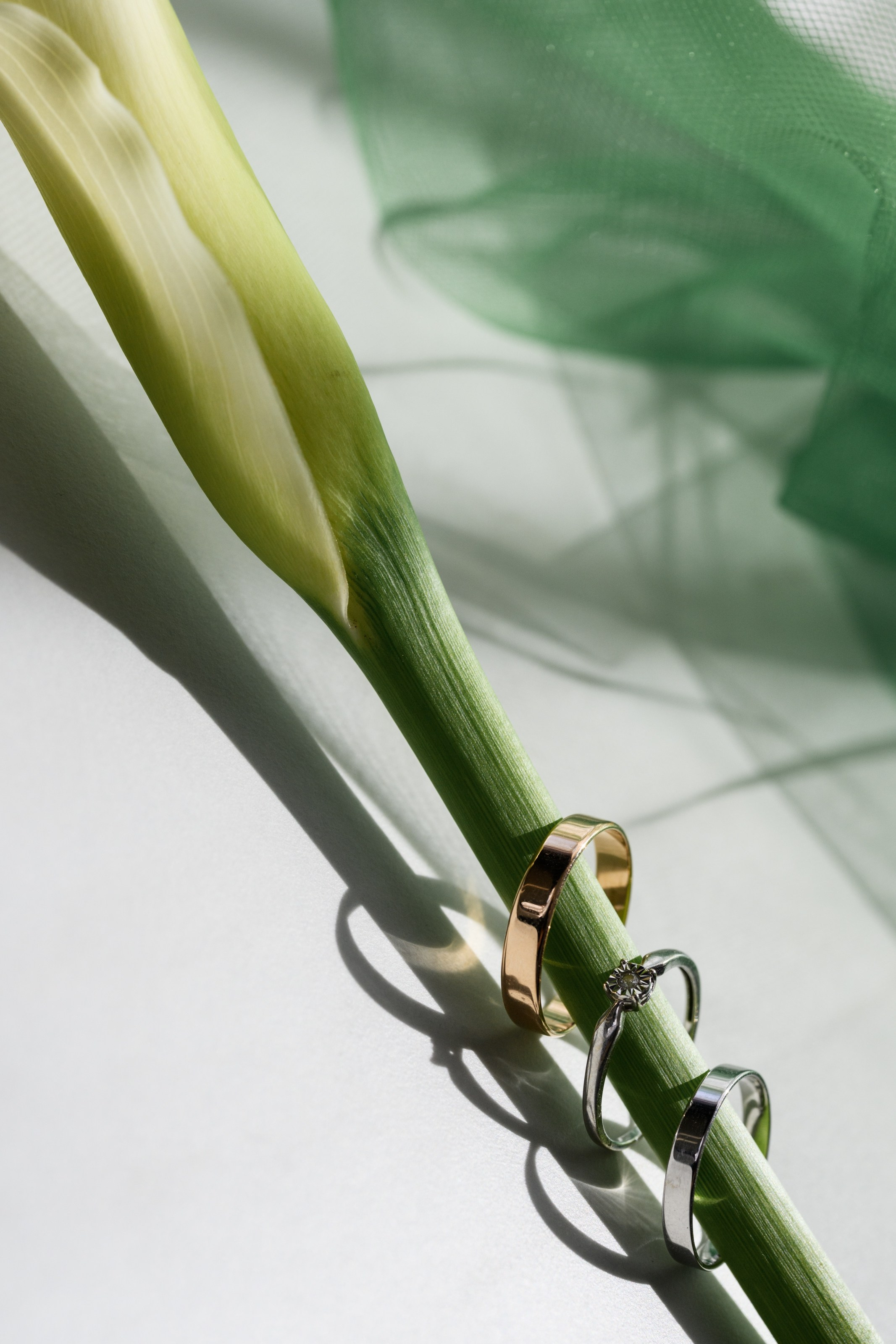 Богдан и Снежана. Главная