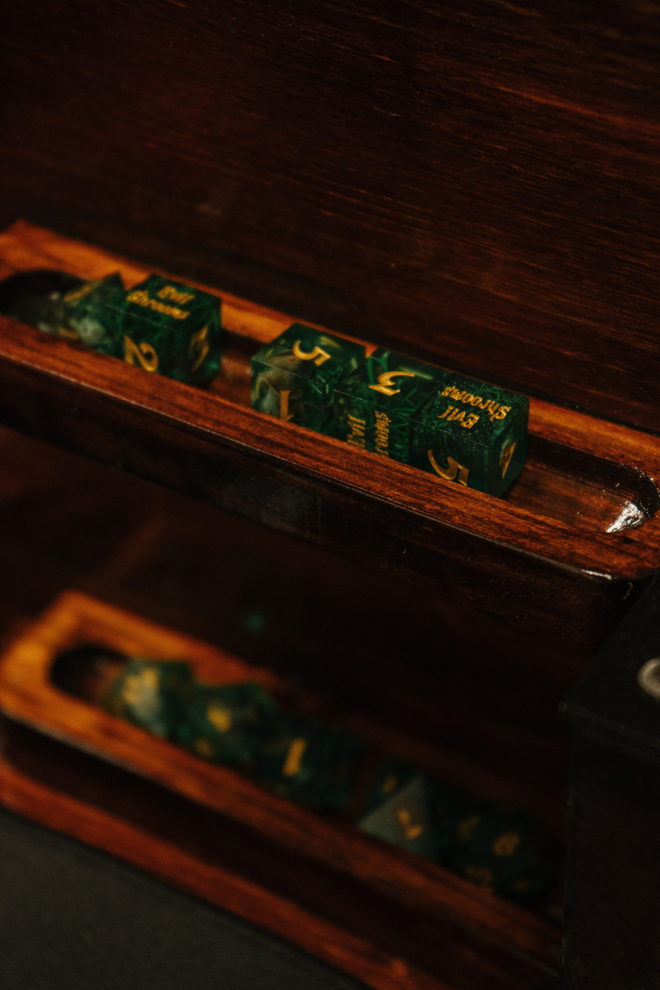 DnD — подземелье и драконы (Феникс). Портретный фотограф Нижний Новгород