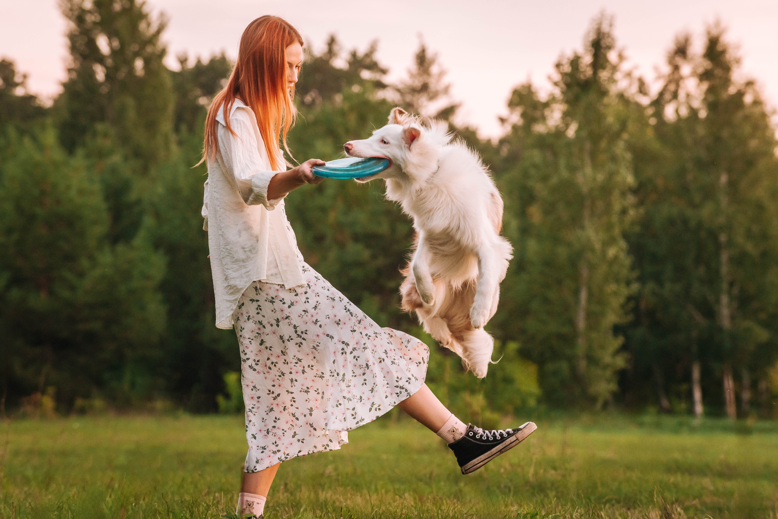 Лиза и Айви. Главная