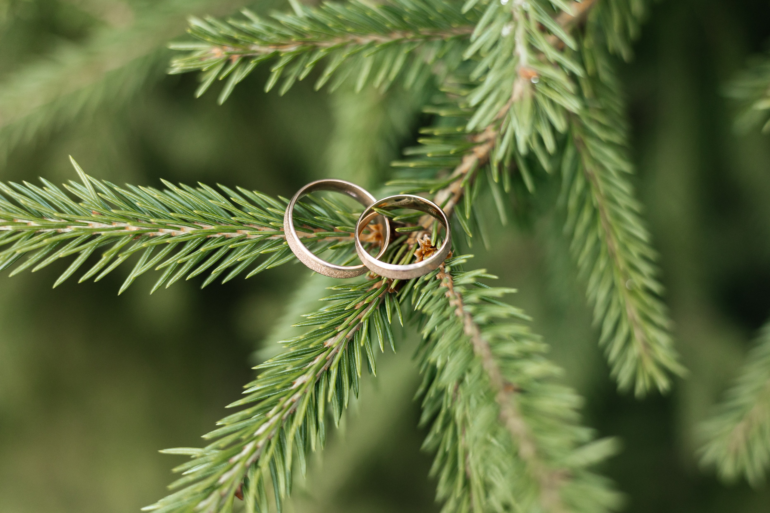 Анисина Анна, свадебный и семейный фотограф в городе Иваново. Анисина Анна — свадебный и семейный фотограф в городе Иваново