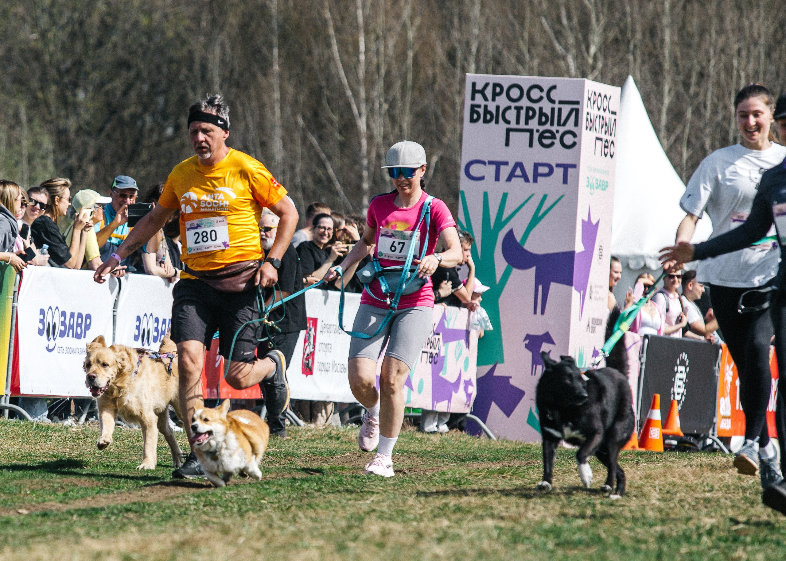 Кросс «Быстрый пёс» 2025. Репортажный фотограф в Москве