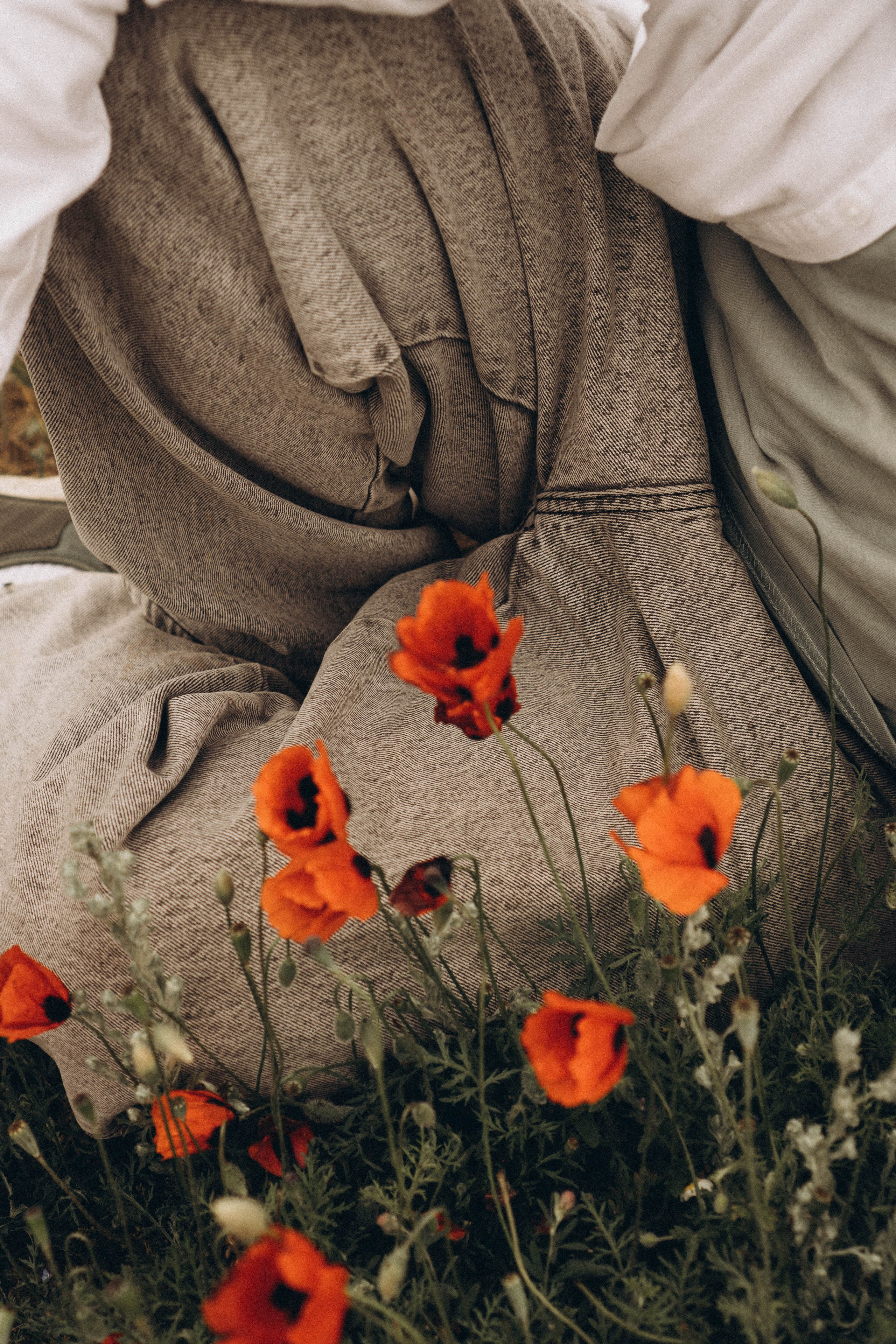 Маки. Профессиональный фотограф, Санкт-Петербург — Виктория Богомолова