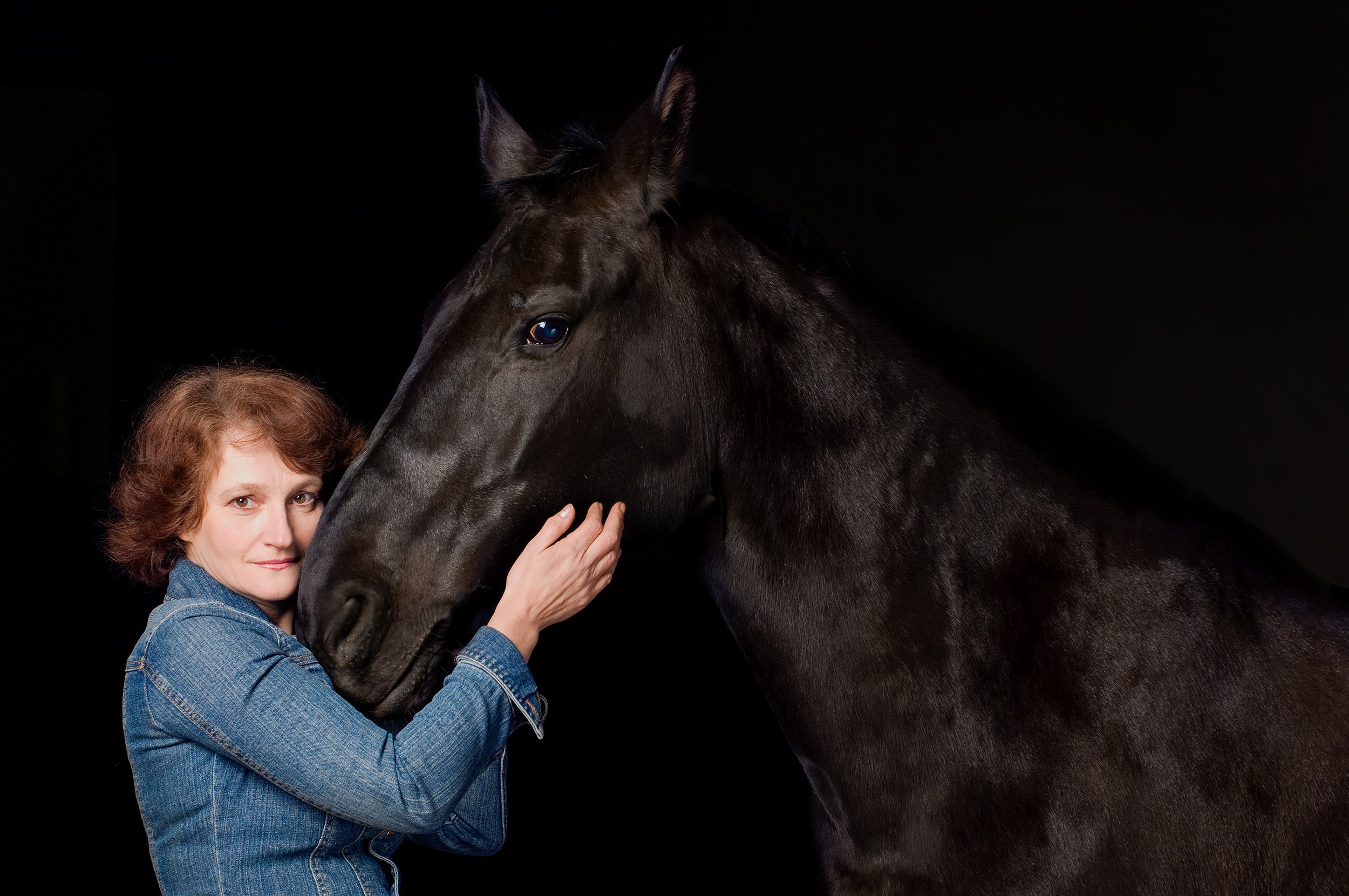 Лошади в студии. Лана Петрова, фотограф