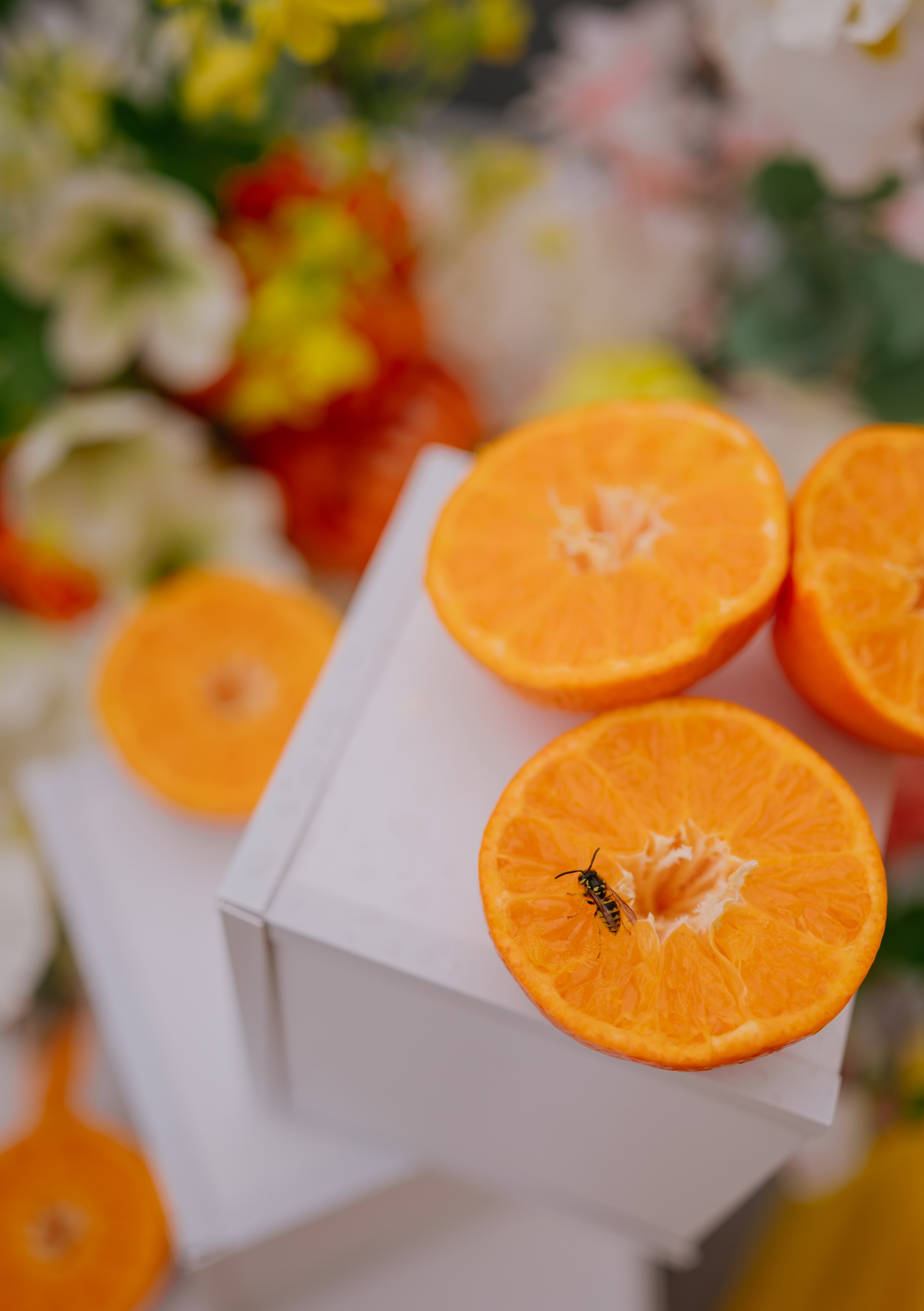 Тимур и Регина. Свадебный фотограф Уфа Дарья Насырова