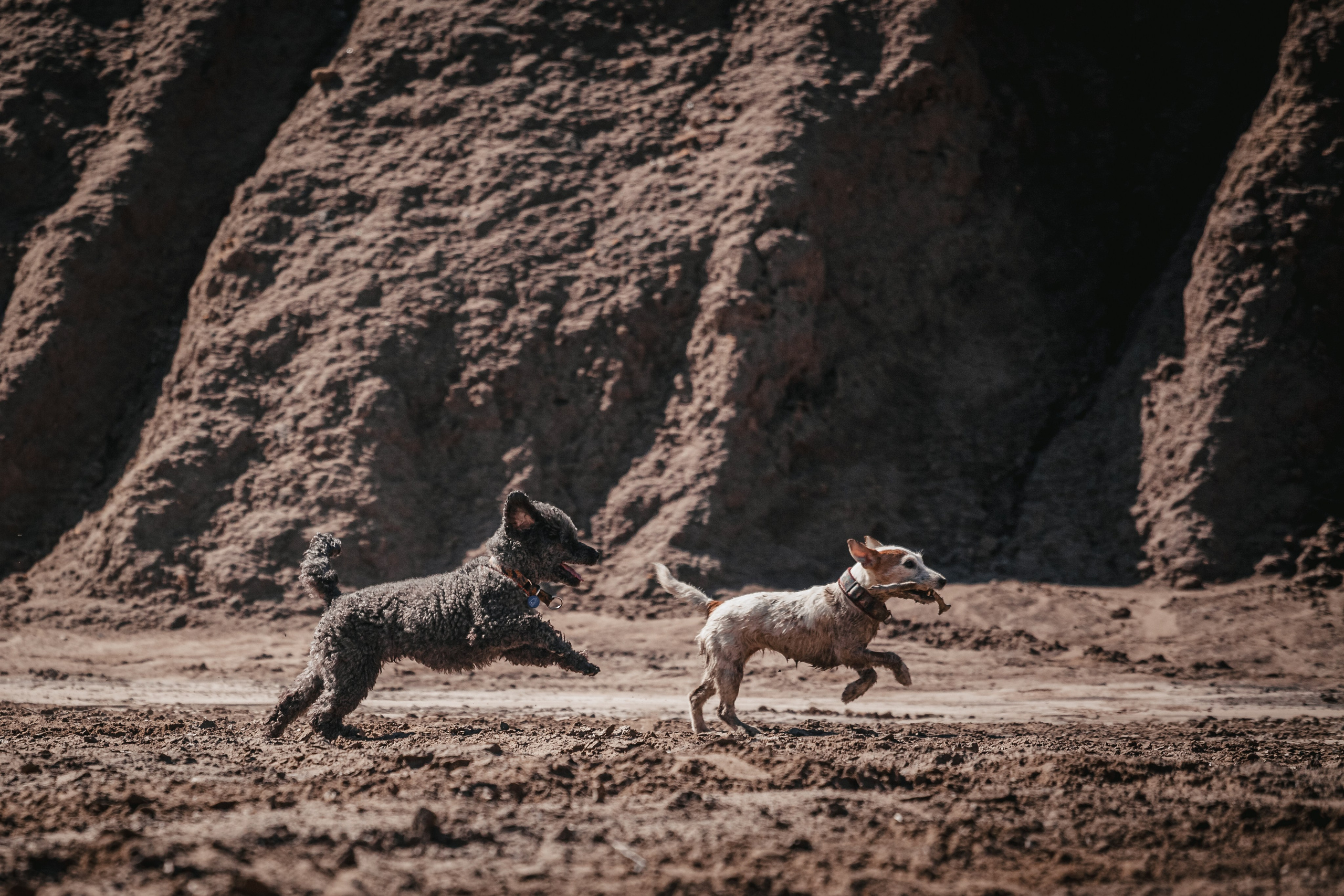 Кондуки. Фотограф-анималист Татьяна Степанова