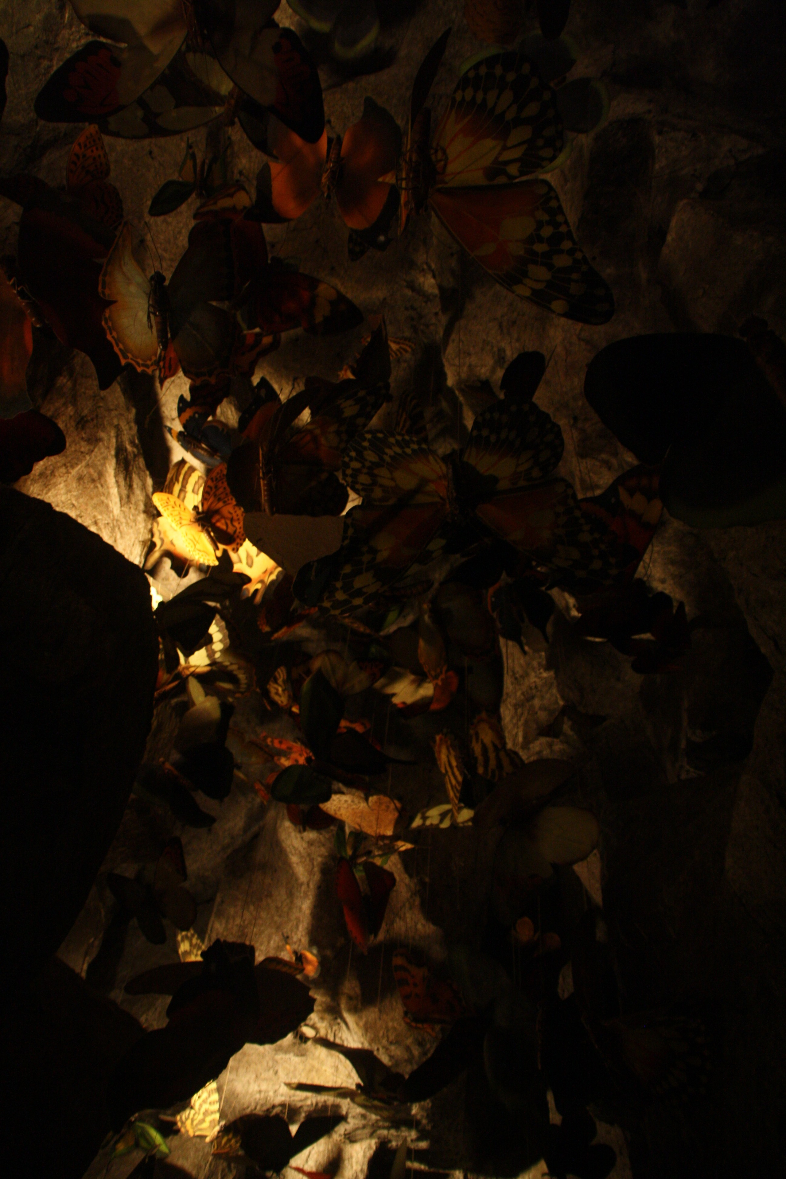 Шанхай. Фотограф Алексей Федорищев