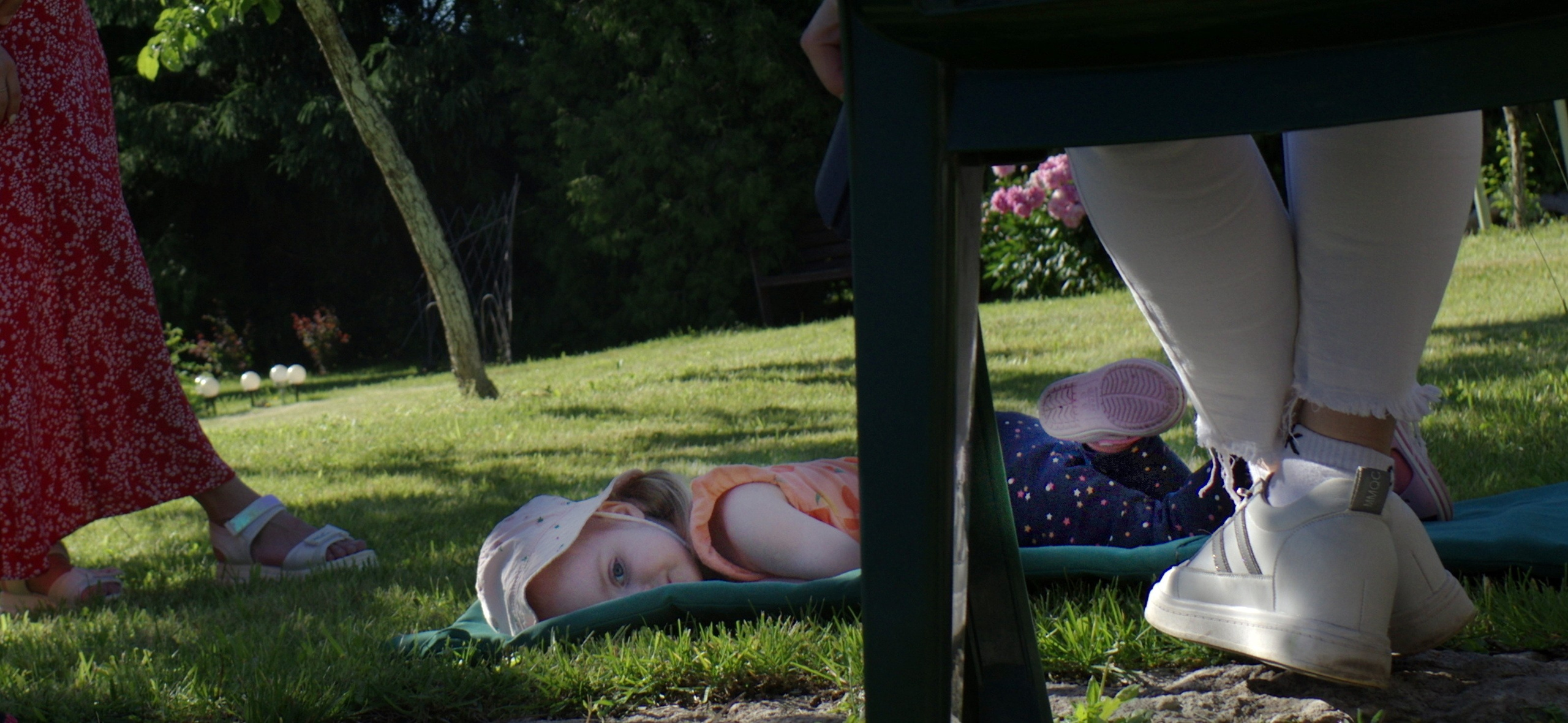 22 июня 2024 г. Вадим Шейдин