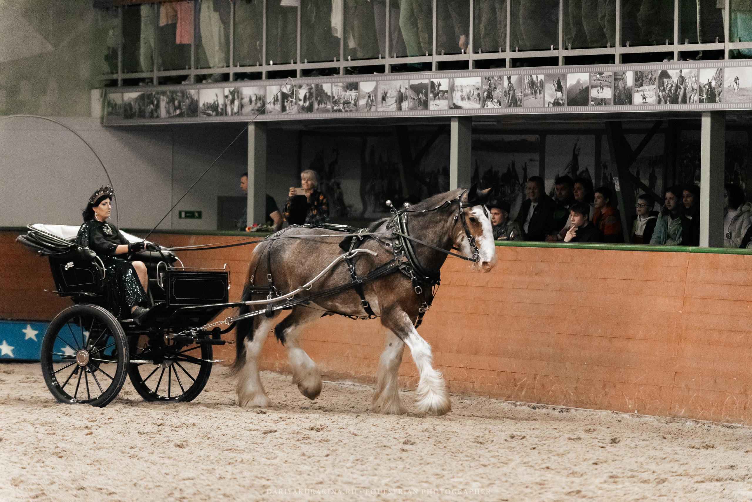 Конное представление «Дыхание Звёзд». Конный фотограф Куракина Дарья • Фотосессии с лошадьми