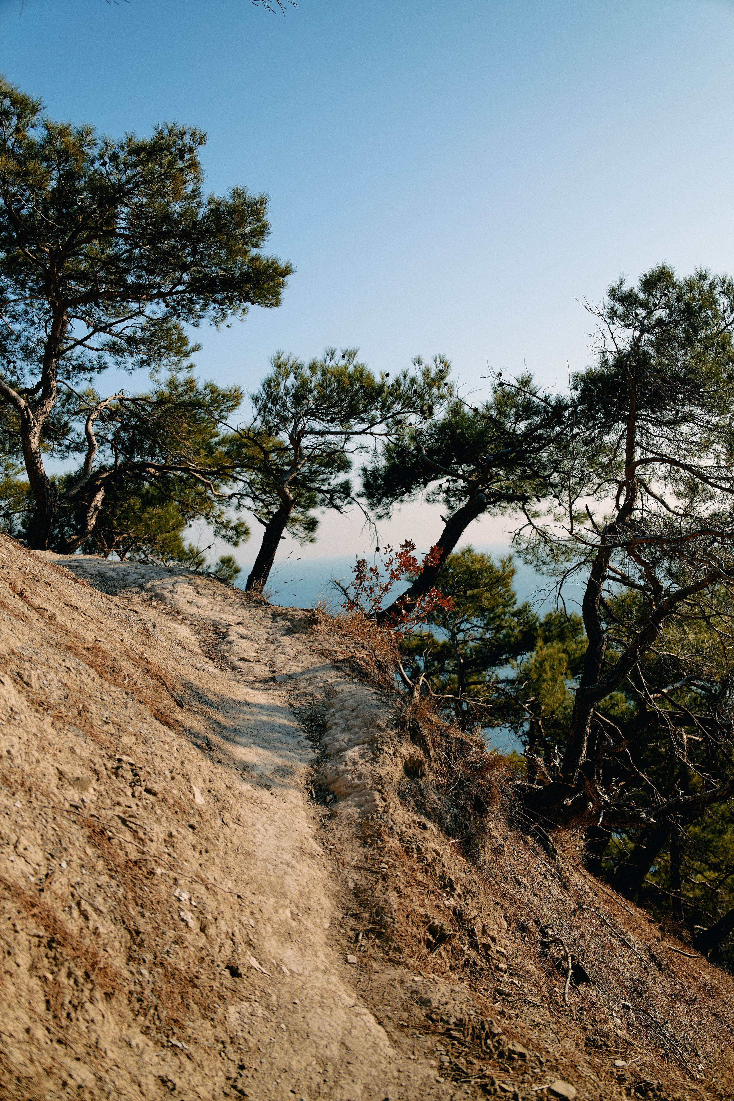 Юг России. Профессиональный Фотограф во Владимире, в Москве и в Суздале — Полина Романычева