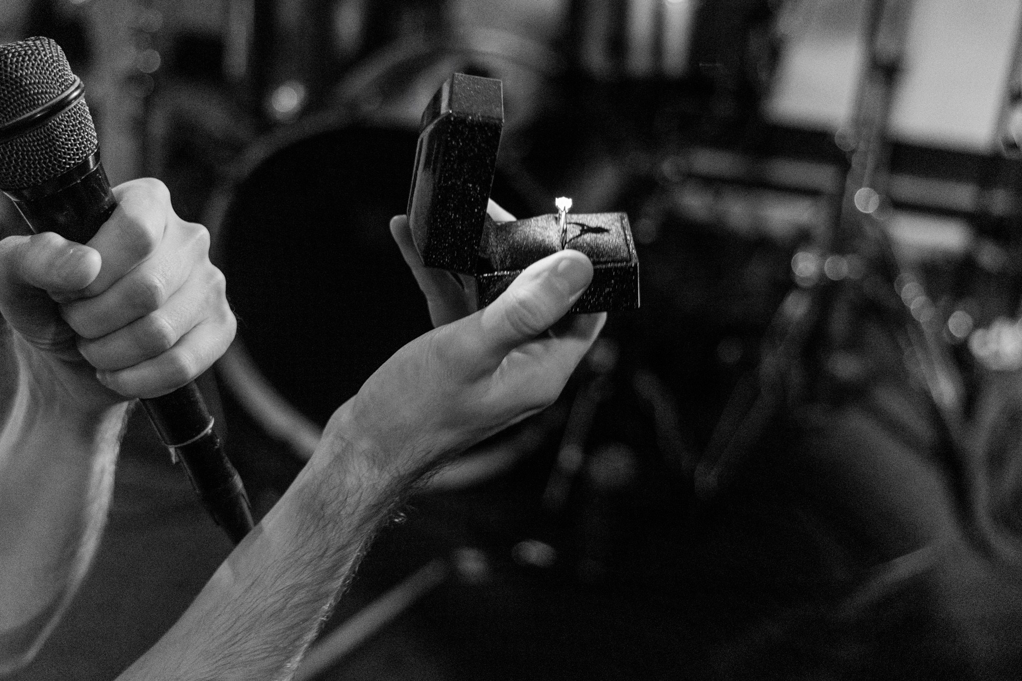 Змееед, Apodemus, 20.12.25, TAGO)))MAGO)))