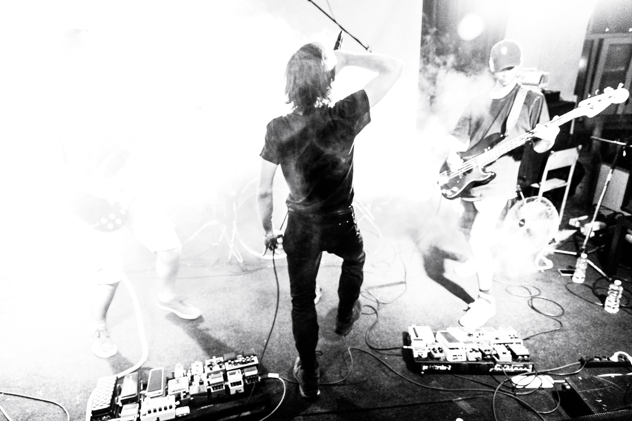 Змееед, Apodemus, 20.12.25, TAGO)))MAGO)))