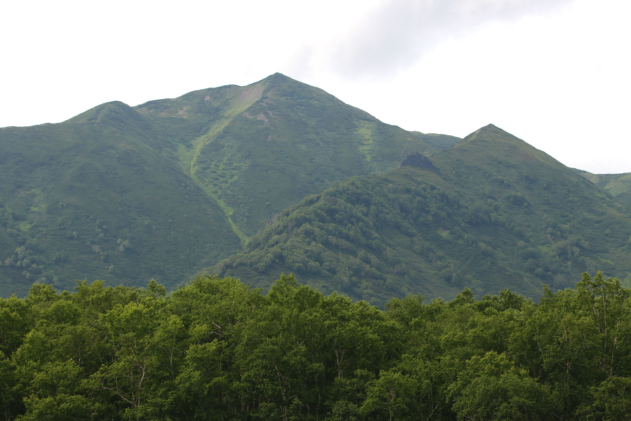Камчатка и о. Парамушир. Июль 2024. Путешественник-фотограф из Санкт-Петербурга Татьяна Свистулина