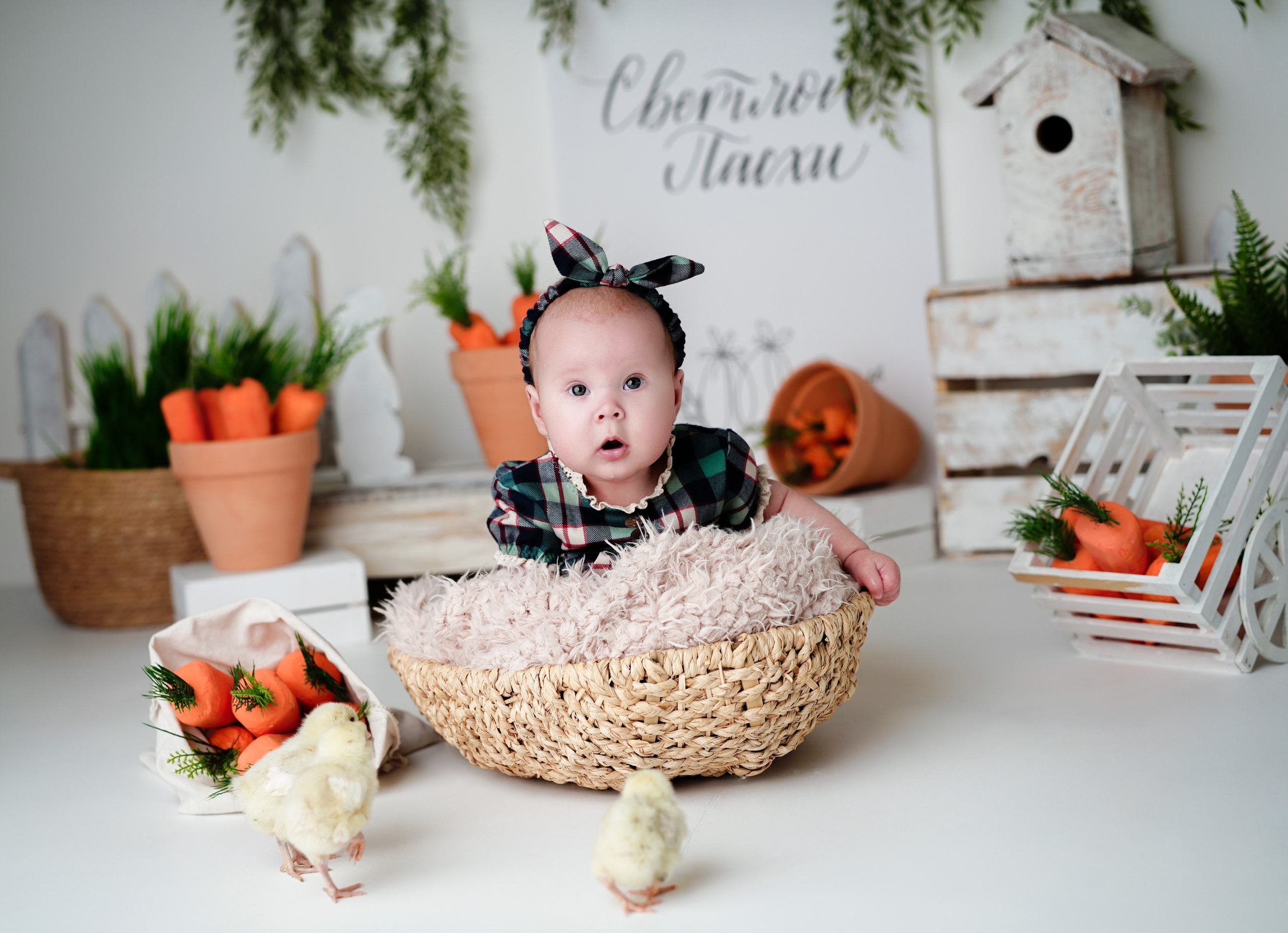 ФОТОСЕССИИ В СТУДИИ от 4х месяцев. Фотограф новорожденных в Нижнем Новгороде Сергеева Оксана