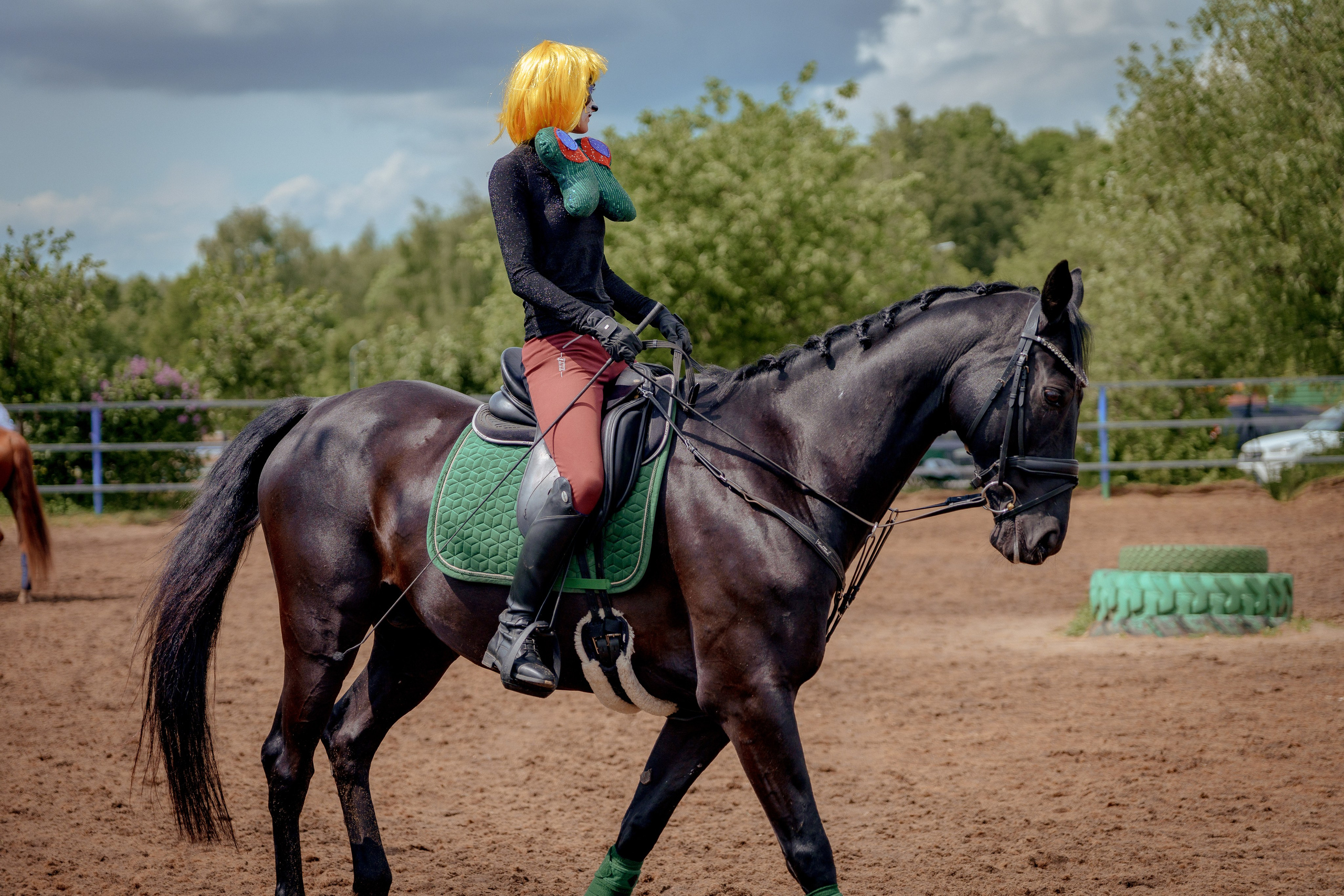 Конный клуб Горки. Портретный и семейный фотограф в Москве/Видное