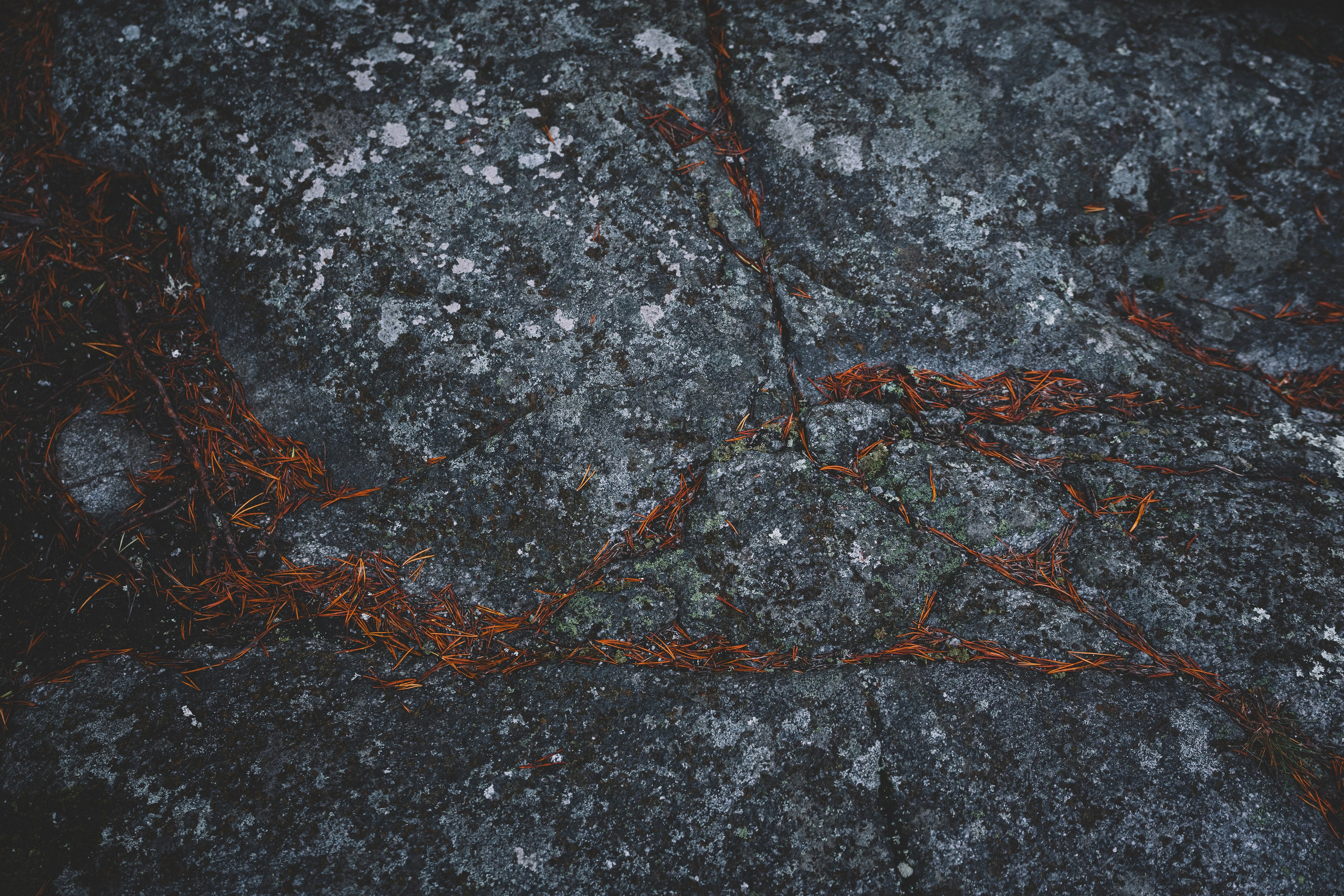 Фотосессия для музыкантов в СПб. Профессиональный фотограф в Санкт-Петербурге Александр Волосенцев