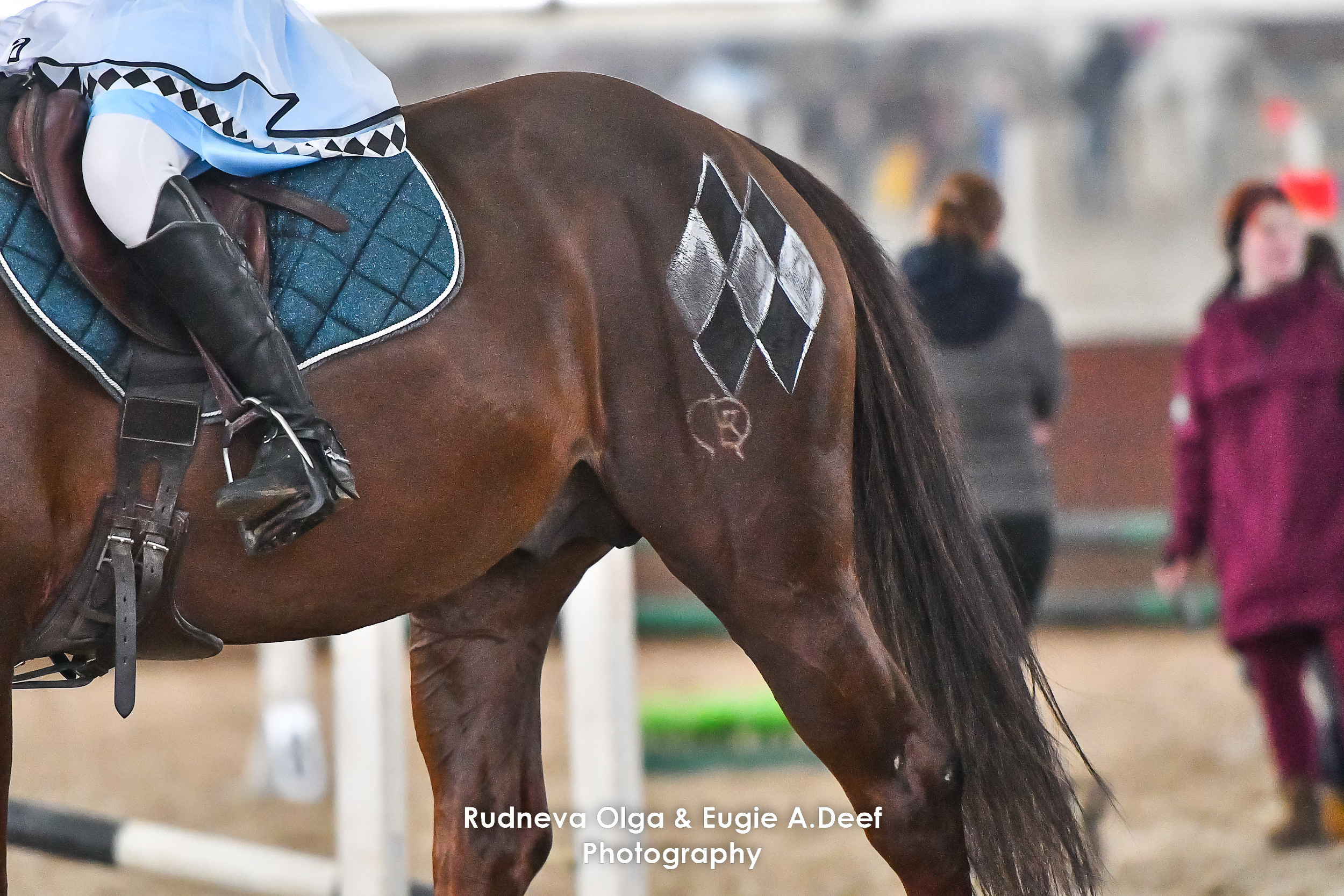 Отзывы. ТУРНИРНАЯ КОННАЯ ФОТОГРАФИЯ, Руднева Ольга и Евгений Адеев