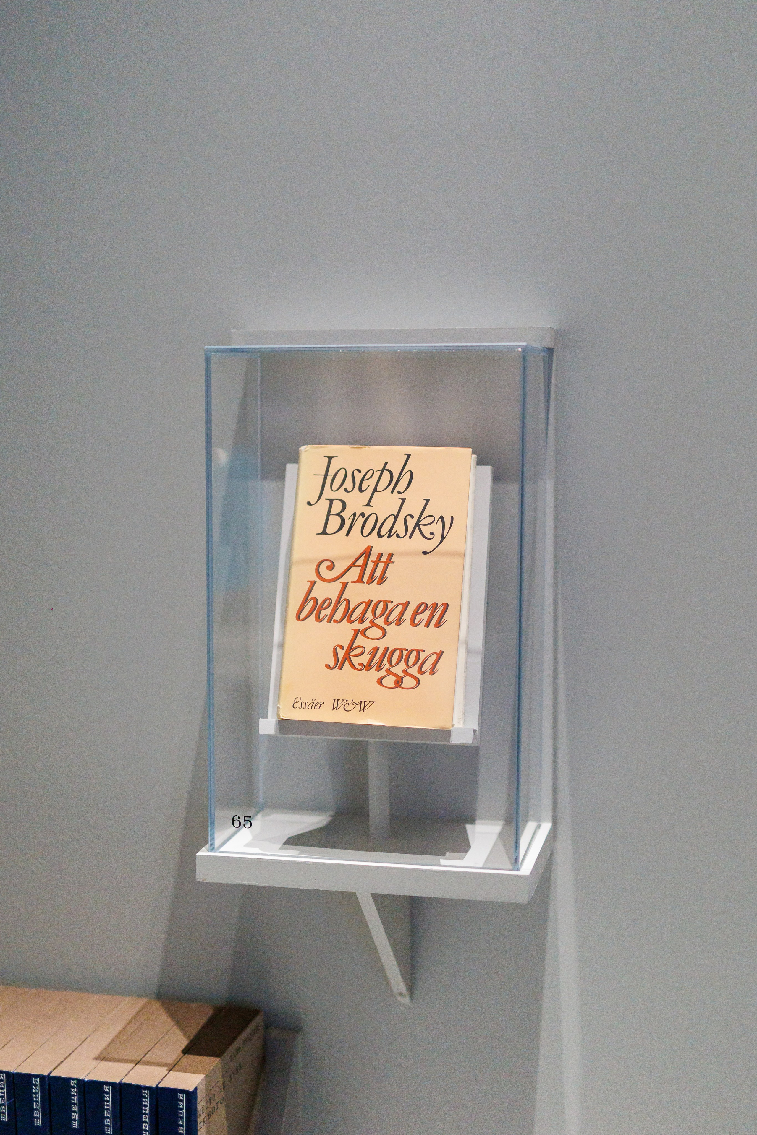 Мероприятия посвященные открытию выставки Иосиф Бродский — Место не хуже любого. Фотограф Иван Недорез