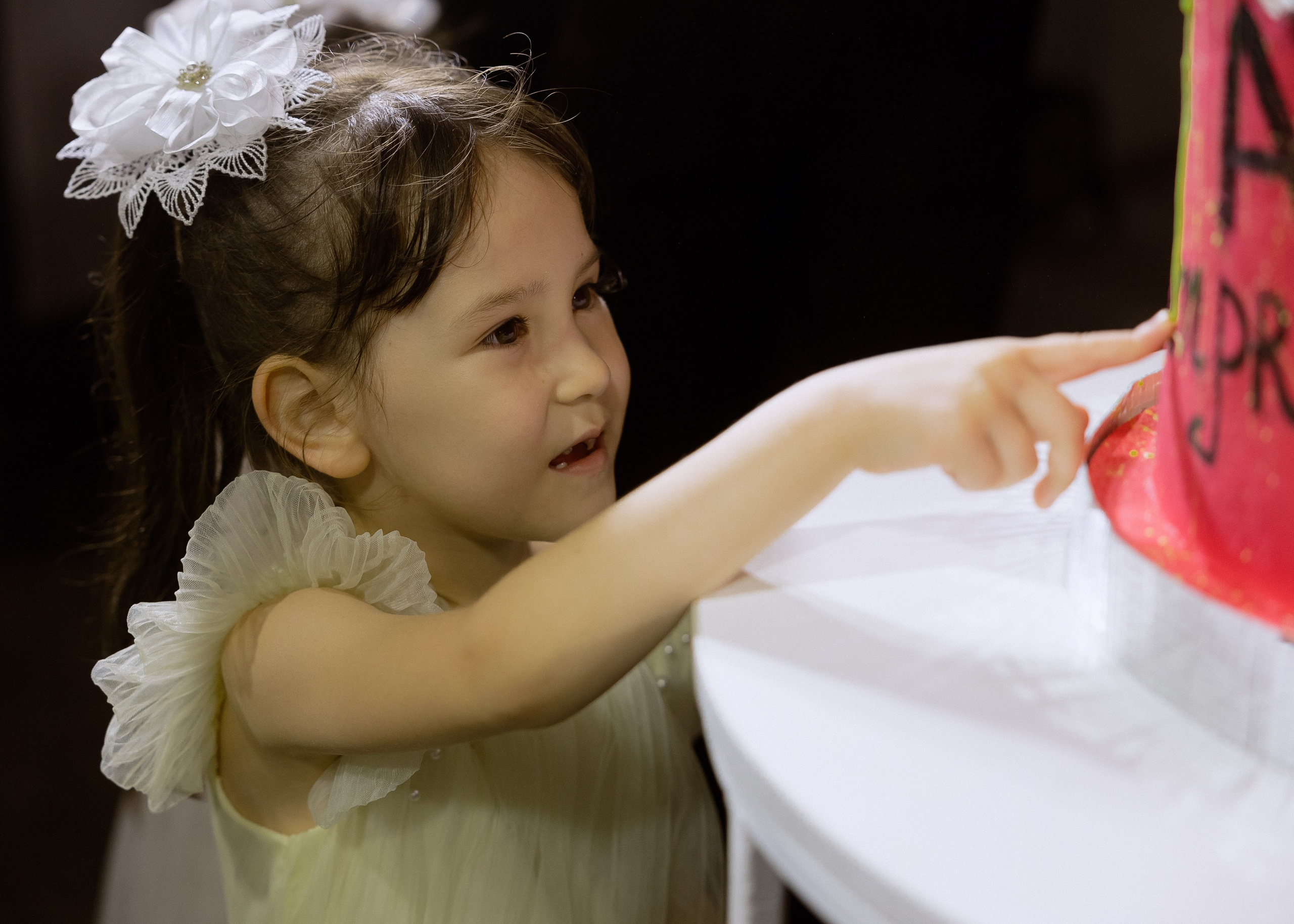 Дмитрий и Алита. Фотограф Эмиль Исякаев