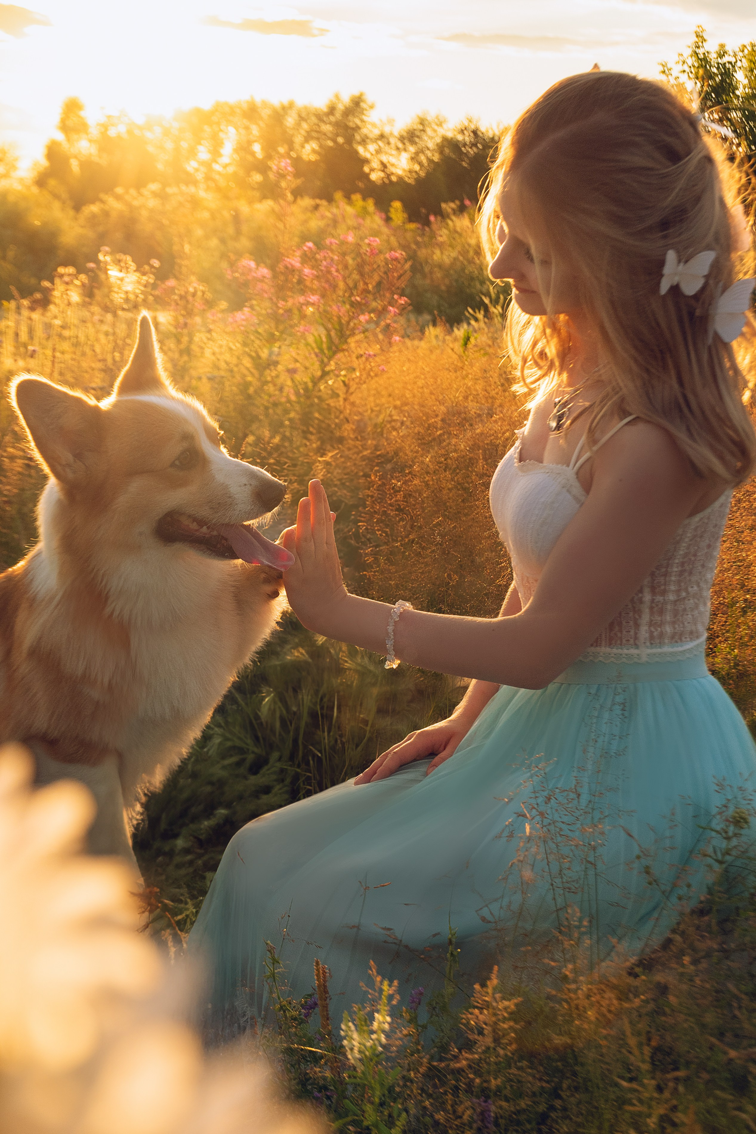 Съемка с собаками, животными. Сайт фотографа Елены Коноваловой Иркутск