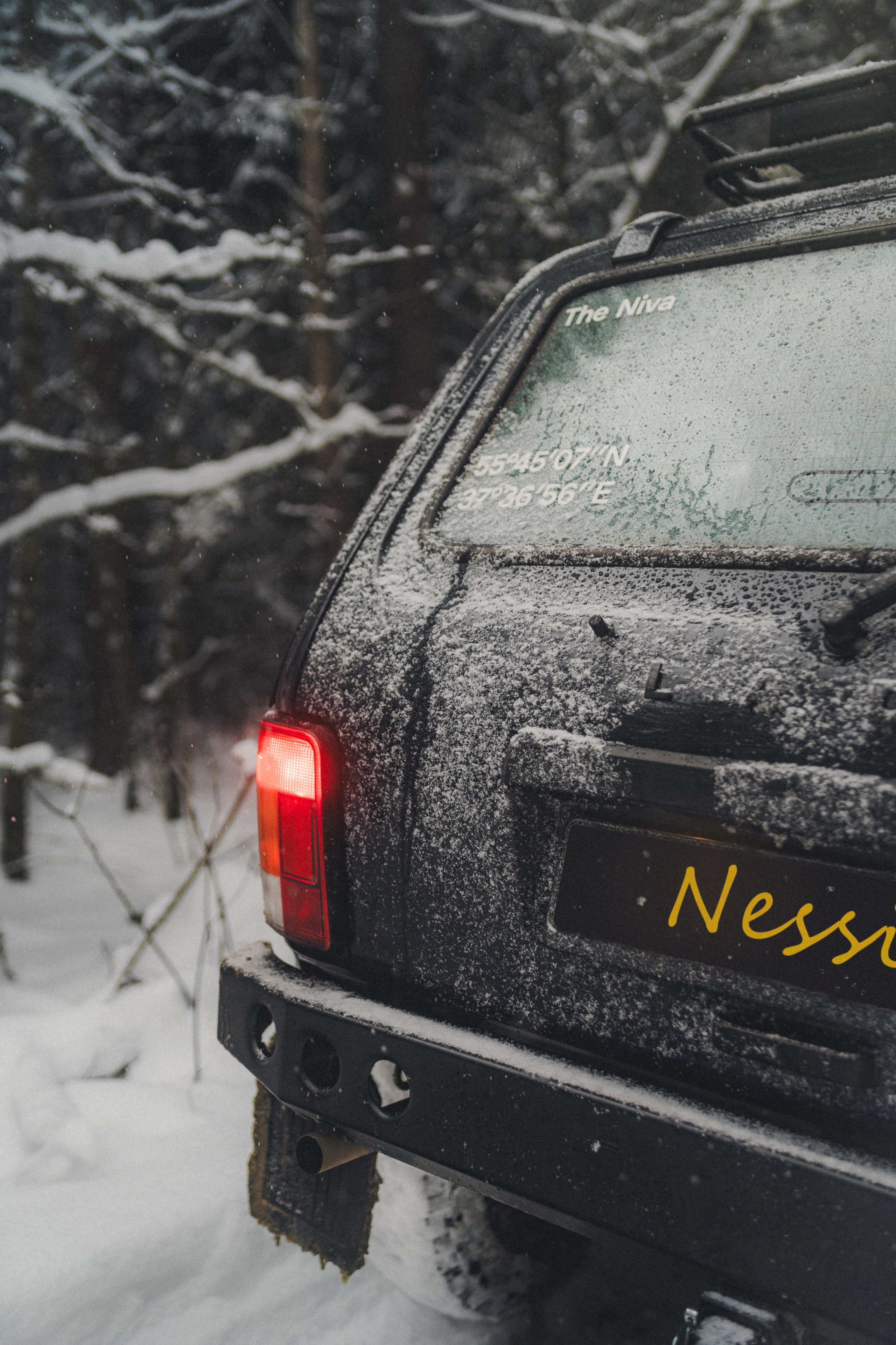 Niva Bronto (Nessie) x FAUNO. Фотограф Илья К. в Москве