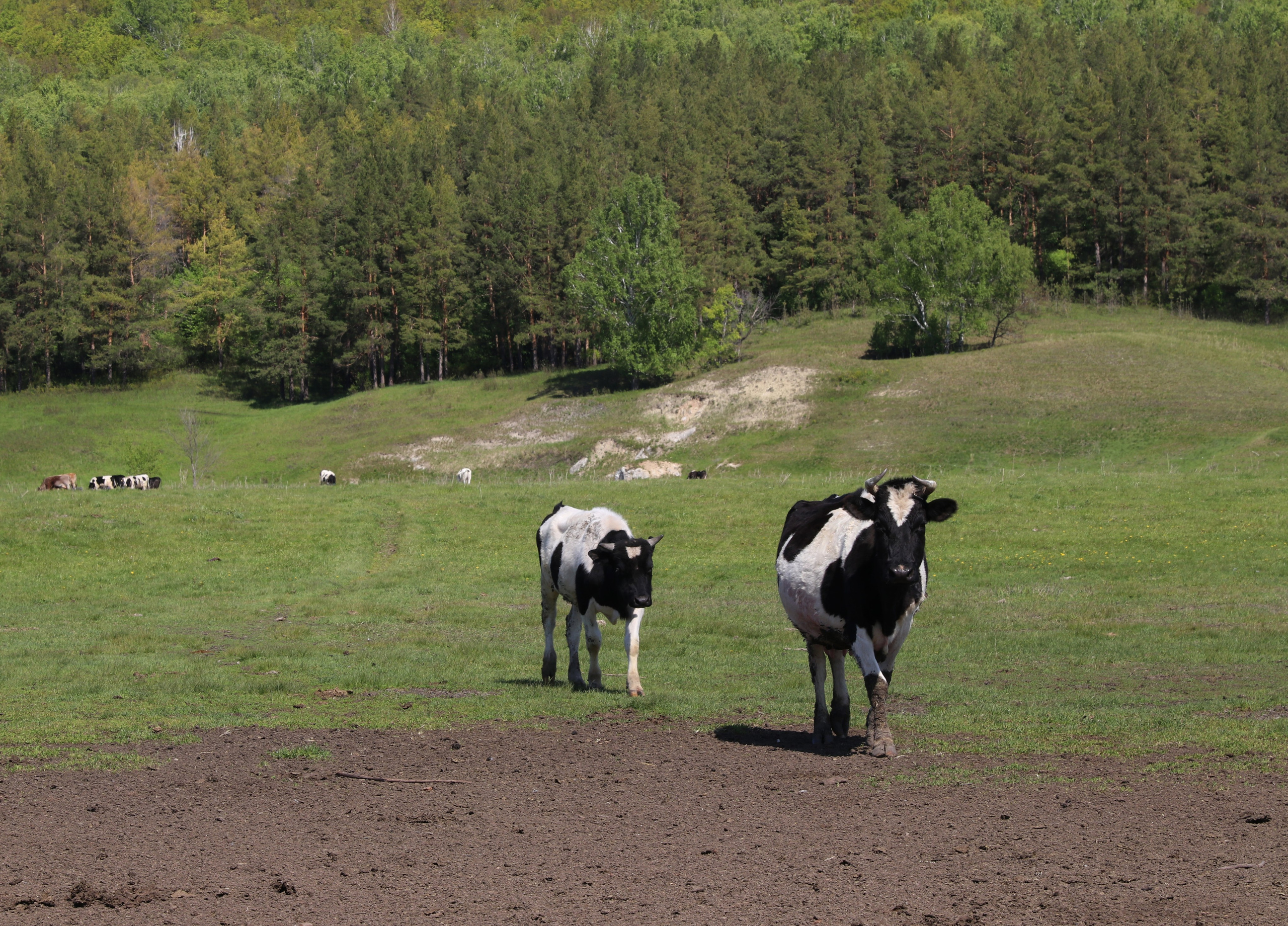 Велопоход Уфа — Мелеуз. Май 2024. Путешественник-фотограф из Санкт-Петербурга Татьяна Свистулина