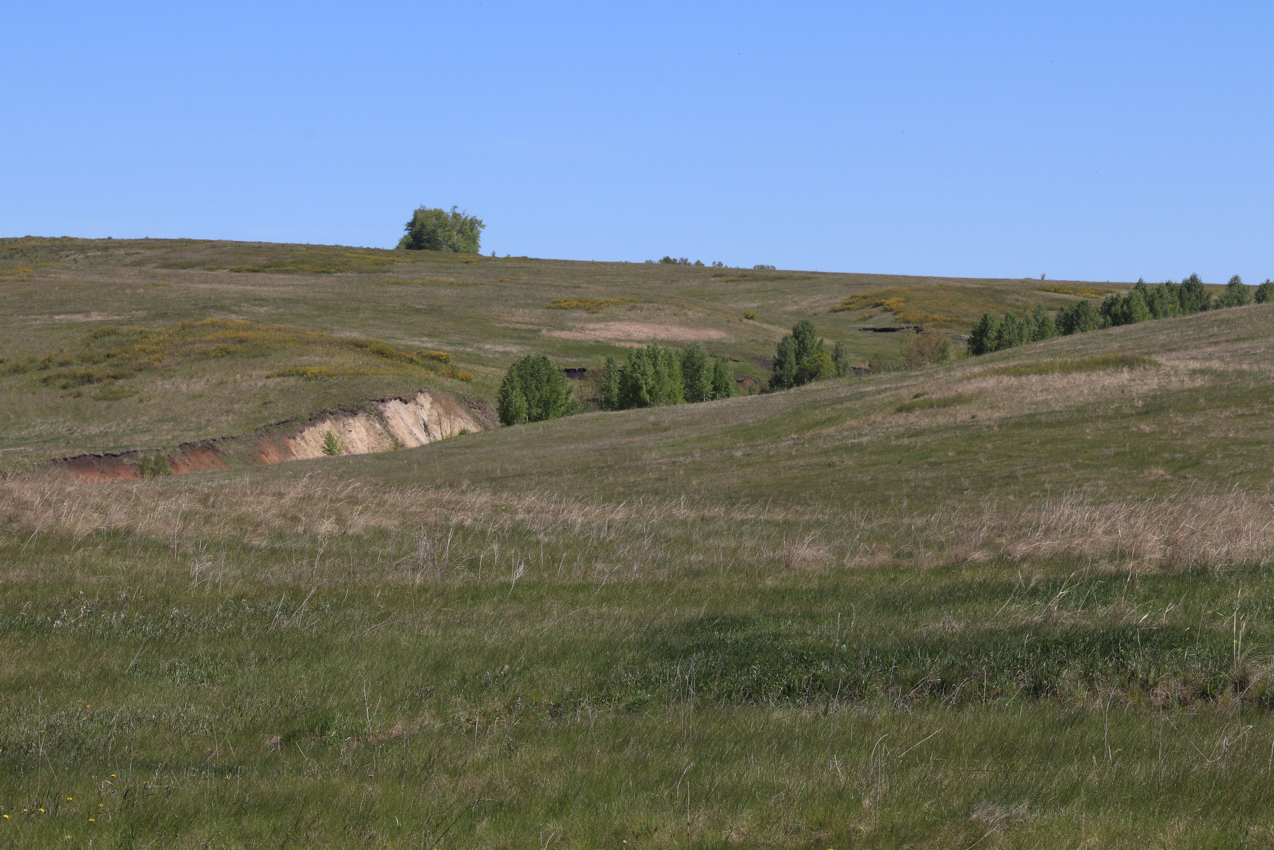 Велопоход Уфа — Мелеуз. Май 2024. Путешественник-фотограф из Санкт-Петербурга Татьяна Свистулина