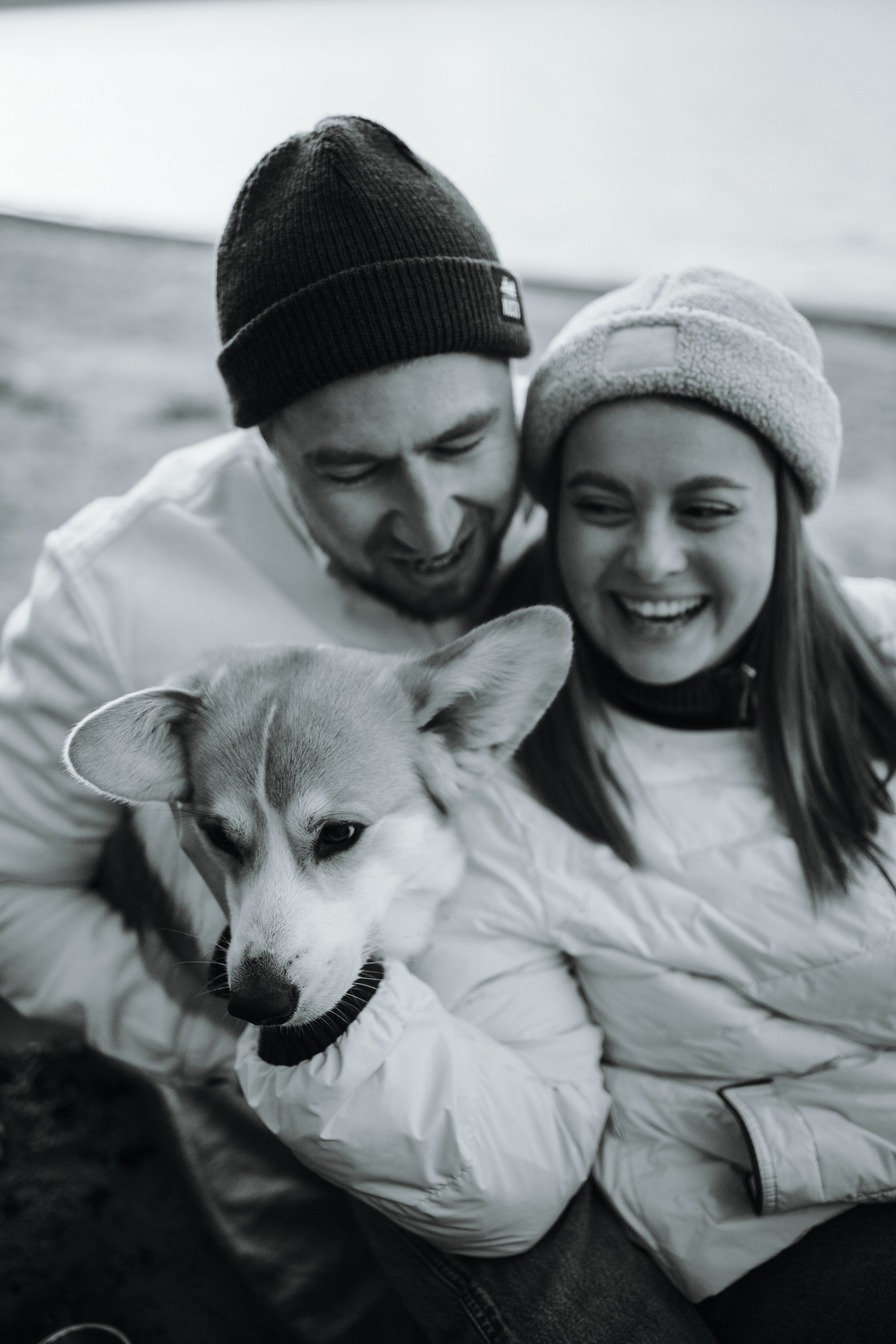 Найт и его семья. Фотограф — Анималист | Санкт-Петербург