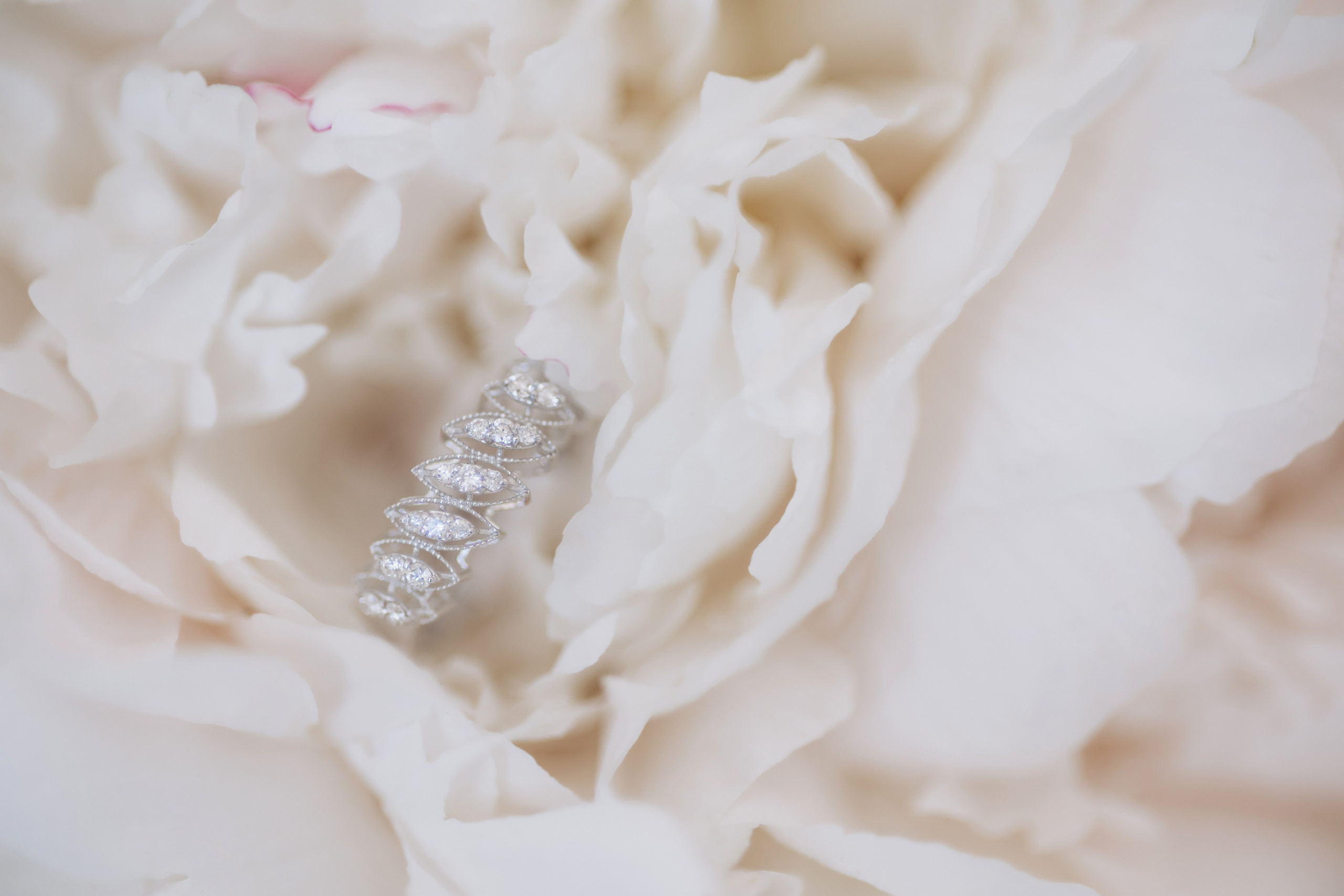 Фотограф в Калининграде свадебная фотография, репортажная, фотосессии