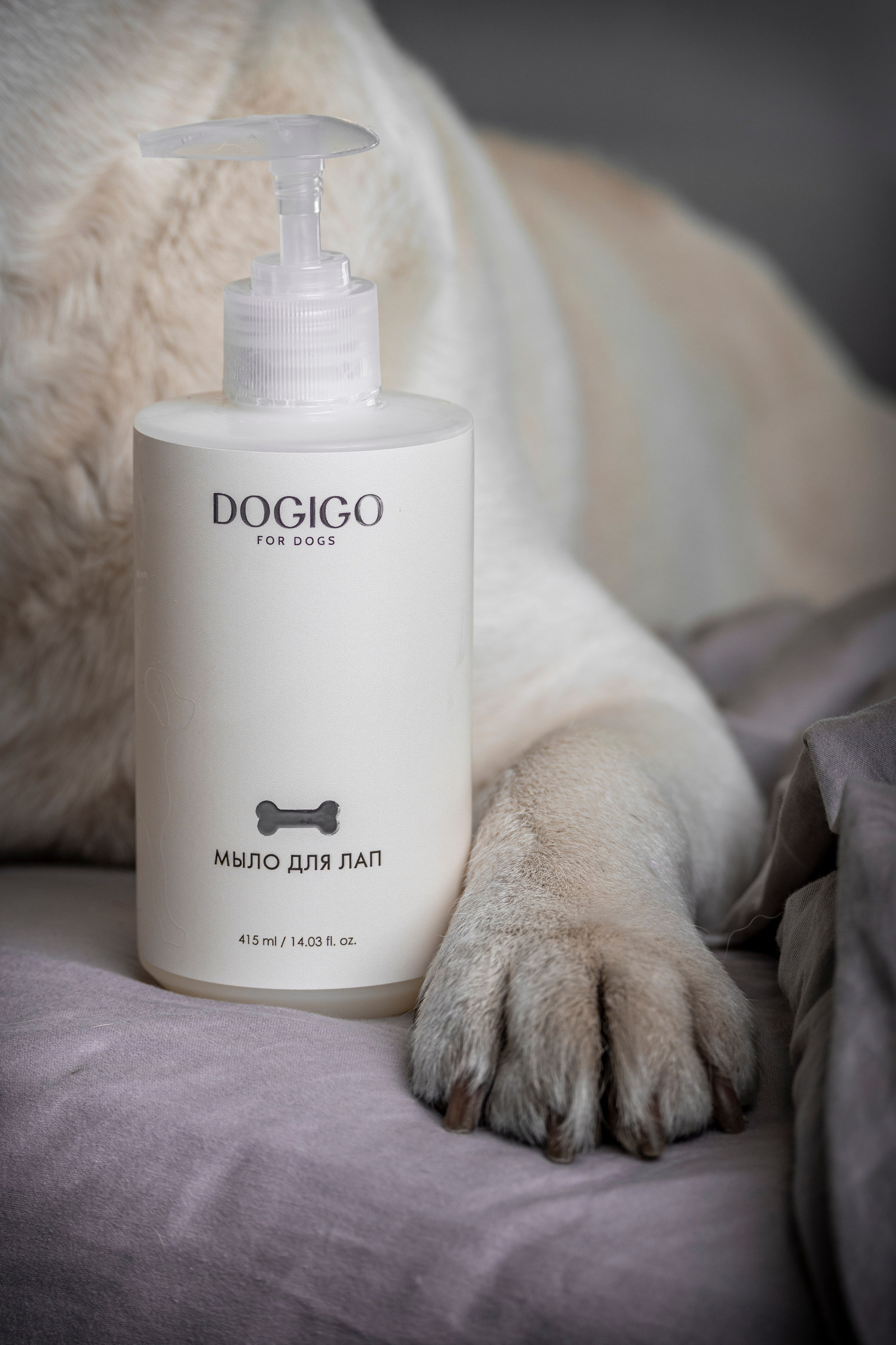 DOGIGO. Фотограф анималист в Санкт-Петербурге Таша Крейв