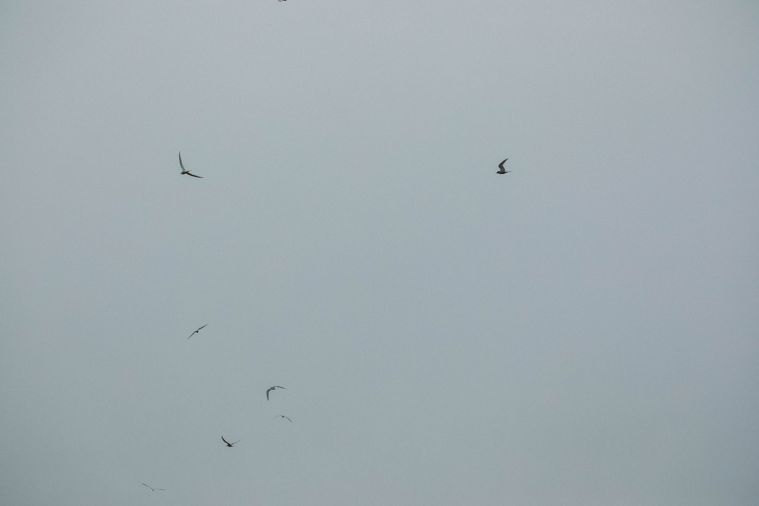 Кольский полуостров. Фотографирую для себя, своей семьи и друзей!