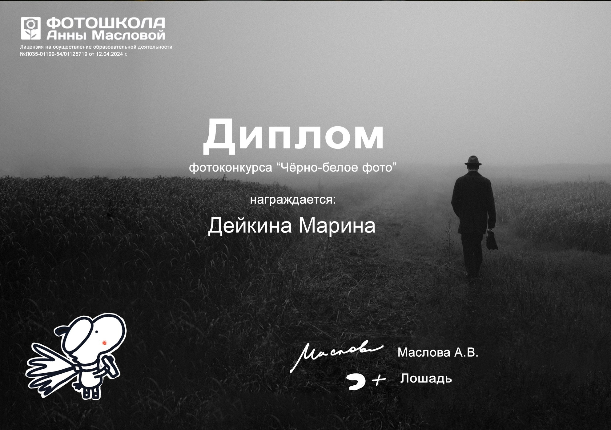 Достижения, дипломы, сертификаты