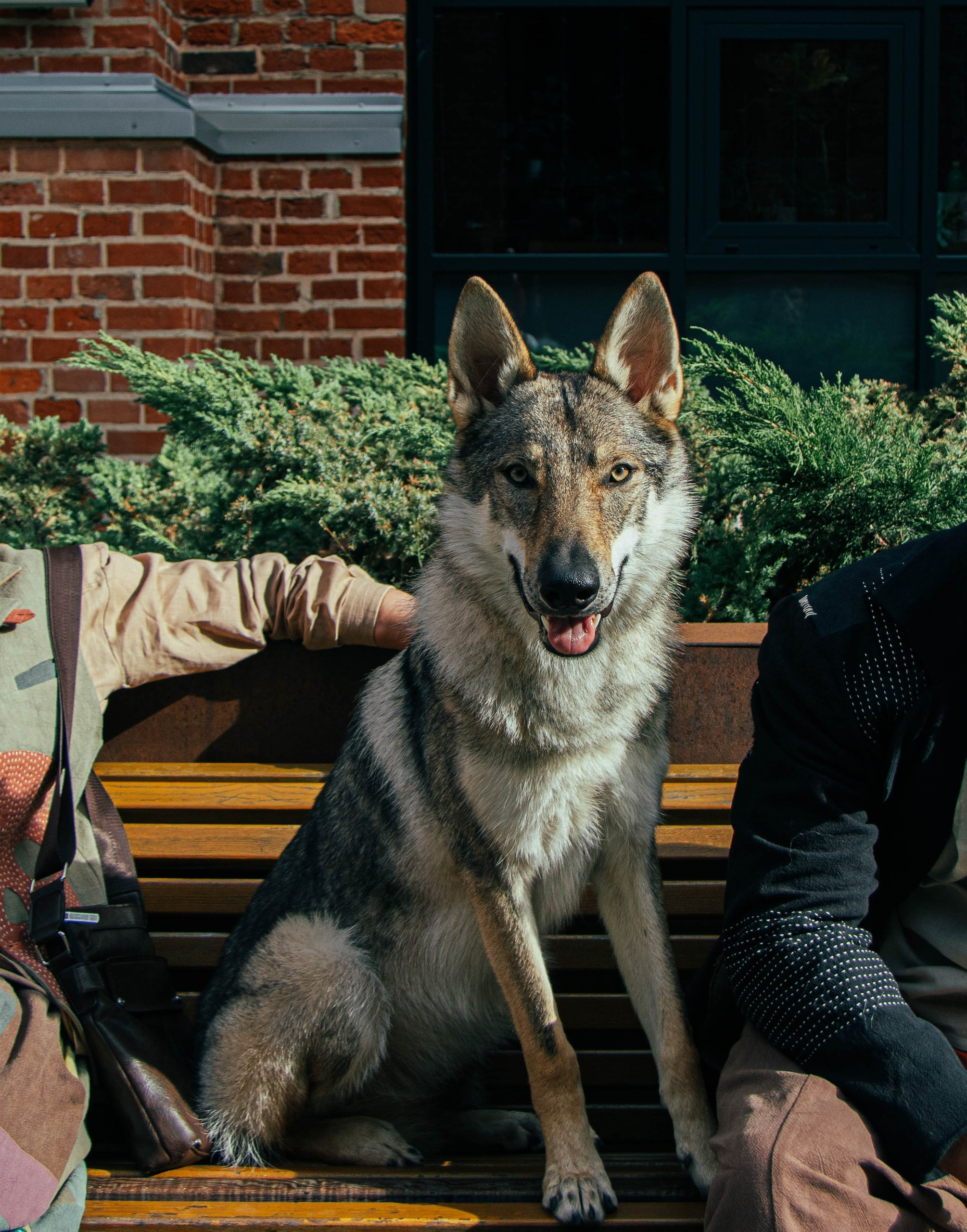 Мастерская одежды «Уйма». Фотограф в Москве Ксюшенька