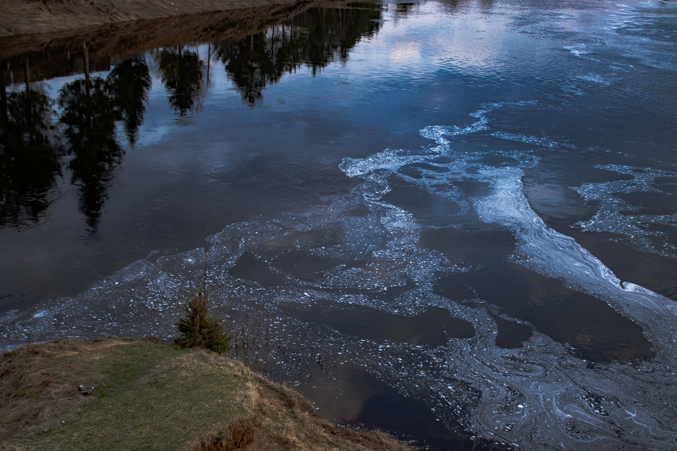 Вепсский ковчег. Полина Щапова БМК235 Медиаком — НИУ ВШЭ